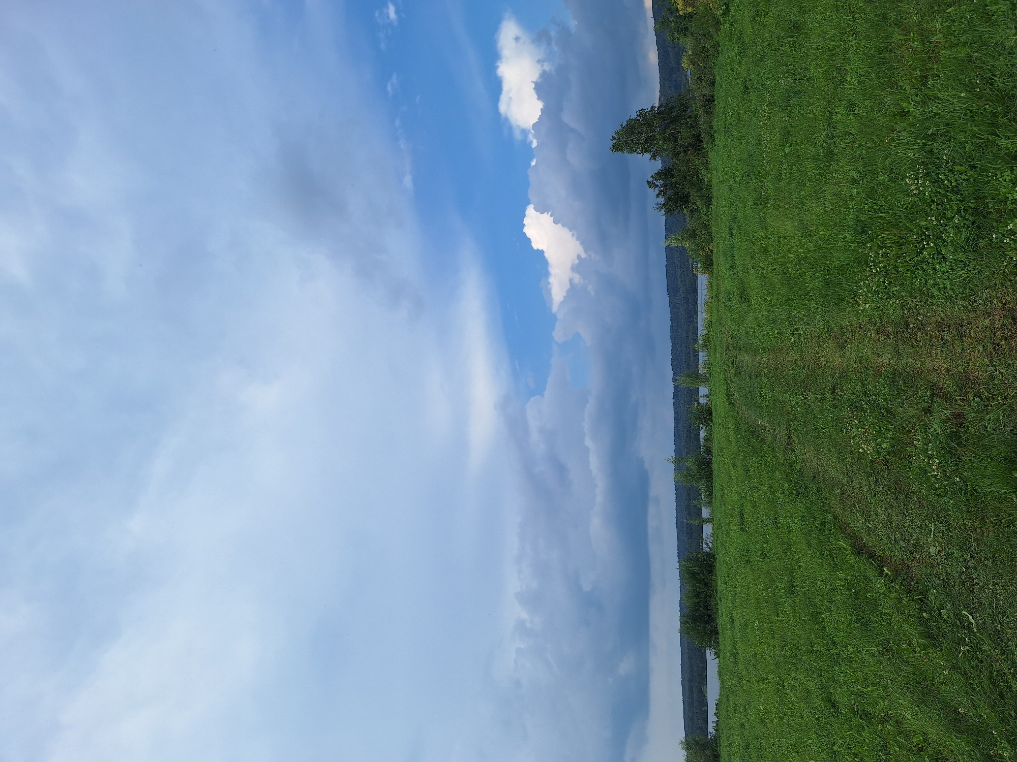 The image depicts a vast expanse of green grass with a faint dirt path winding through it, leading towards a body of water in the distance. The sky above is a dramatic mix of bright blue and heavy, dark clouds, suggesting an impending storm or recent rainfall. A line of trees and hills forms the horizon behind the water. The scene appears to be a natural landscape, likely in a rural or park-like setting. Based on the provided information, this location is identified as Atamanovka, Russia. There are no people or animals visible in the image.