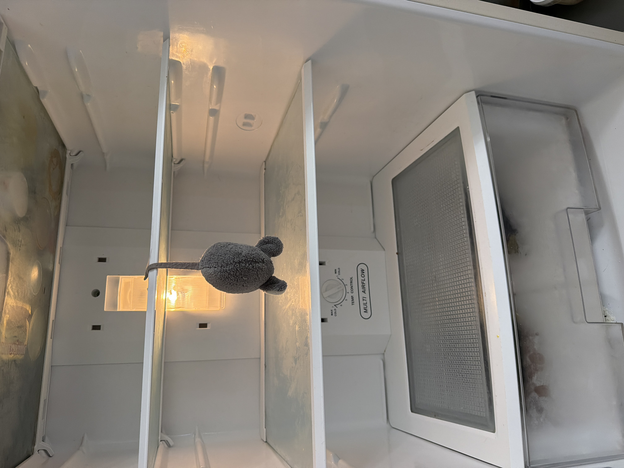 The image shows the inside of an empty refrigerator. A small, grey, plush toy mouse is hanging from a shelf by its tail. The refrigerator has two glass shelves, a temperature control dial with "MAX COLD" and "MIN COLD" settings, and a crisper drawer at the bottom. The interior light is on. The scene does not provide any information about the city of Sochi, Russia, or any other specific location.