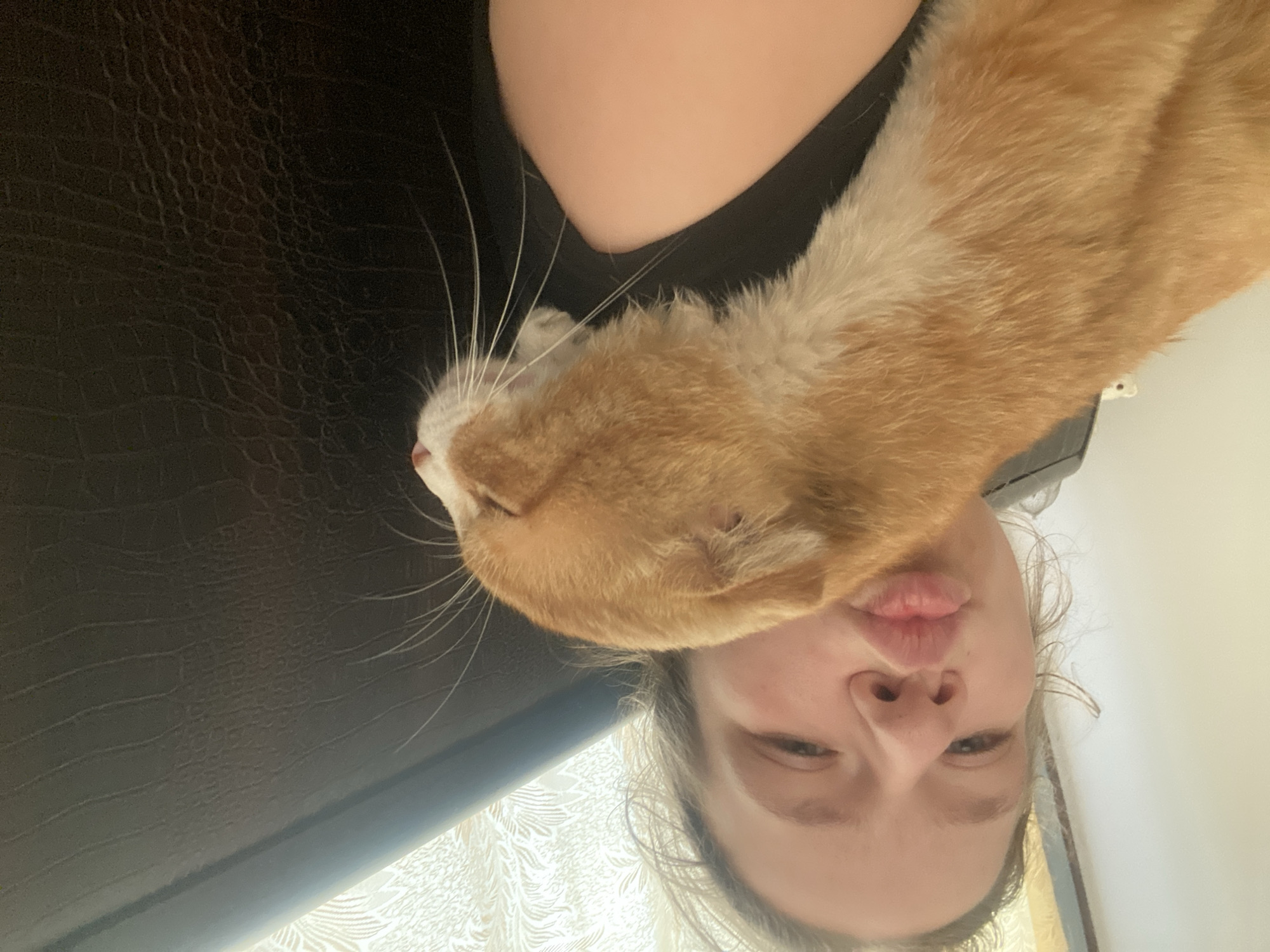 A selfie-style image shows a person holding an orange and white cat. The person's face is visible, close to the cat's head. The background includes what appears to be a dark textured surface on the left and a light wall or surface on the right. The image is rotated, with the faces appearing upside down. No location-specific details relating to Pakhynia, Ukraine are evident in the image.