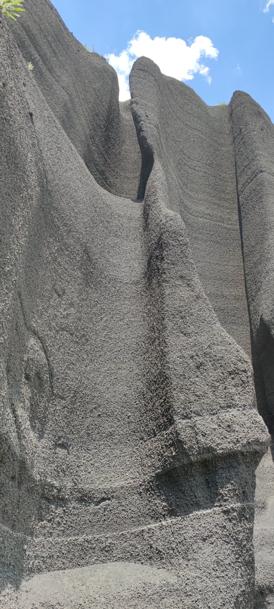 The image shows a close-up, low-angle view of a large, textured, gray rock formation under a bright blue sky with white clouds. The rock appears to be composed of fine grains, creating a rough surface with visible layers and curves. There are small green plants growing in a few sparse areas on top of the rock. The overall impression is of a natural, weathered geological feature. There are no people or any signs of human activity visible in the image. The location is identified as the city of Fantan, Armenia.