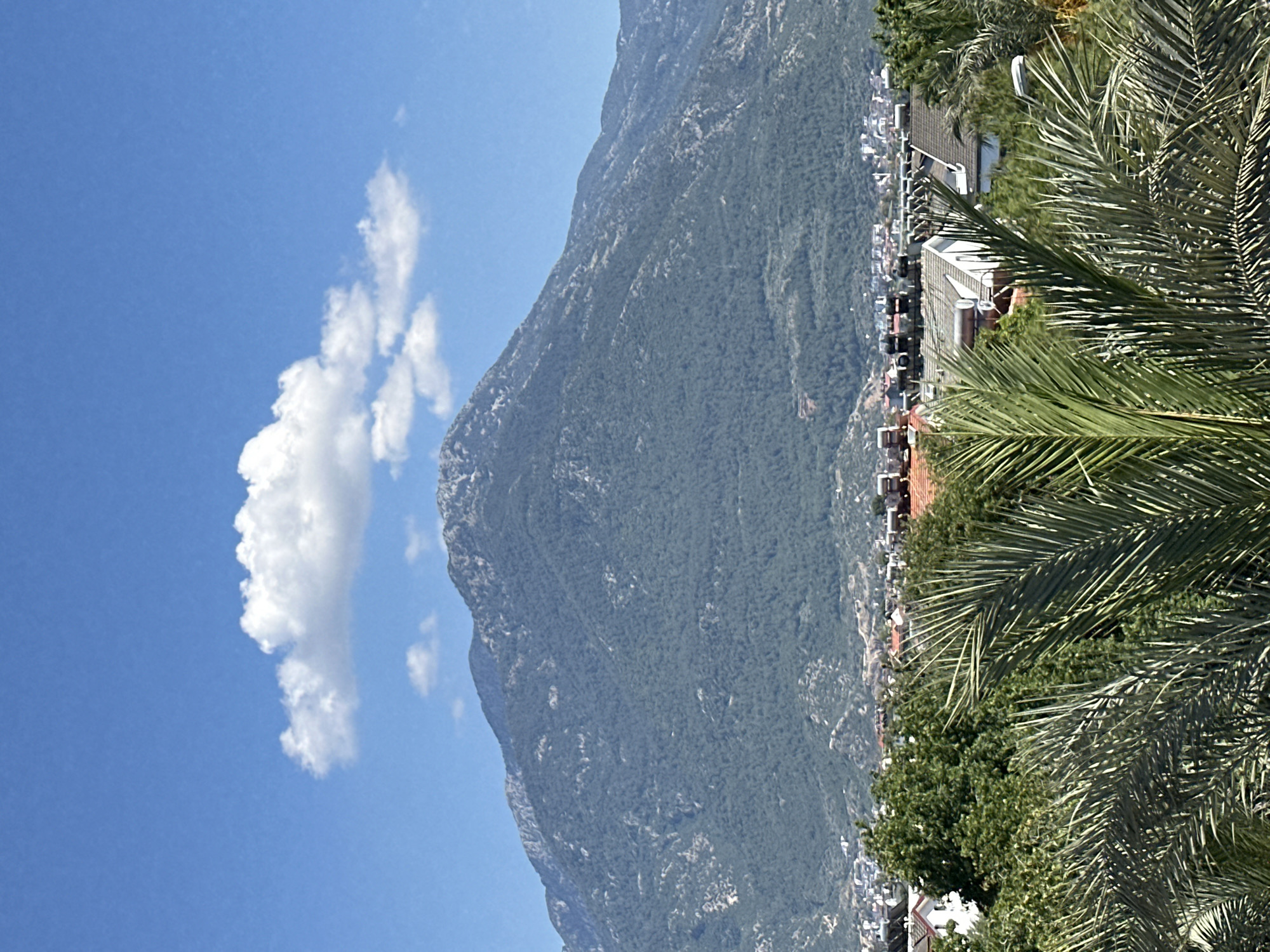 The scene depicts a mountainside next to a populated area, likely in the vicinity of Fethiye, Turkey. A large mountain covered in dense vegetation dominates the view, occupying a significant portion of the frame. A string of buildings, likely houses and structures, are situated at the edge of the mountain's base, interspersed with lush greenery. To the right of the buildings, there is a cluster of palm trees that is very prominent in the image. In the blue sky to the left of the mountain, there is a puffy white cloud.