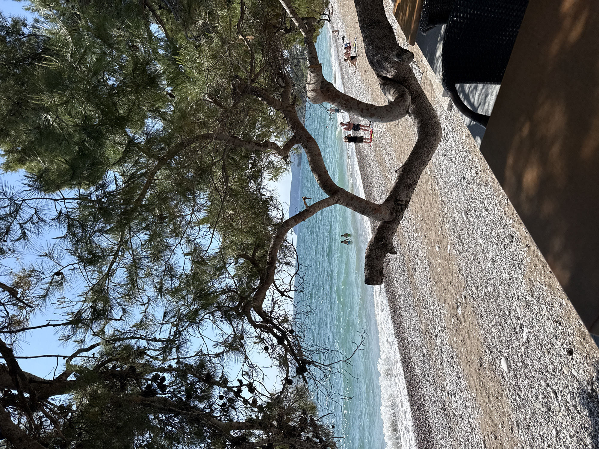 The image shows a beach scene in Bar, Montenegro. A pebbled beach is visible with waves gently lapping the shore. Several people are seen standing and swimming in the clear, turquoise water. A gnarled tree with dense foliage hangs over the scene, providing shade. The upper right corner includes a partial view of outdoor furniture (a chair and table) on a terrace. The overall environment suggests a sunny day at a coastal location.