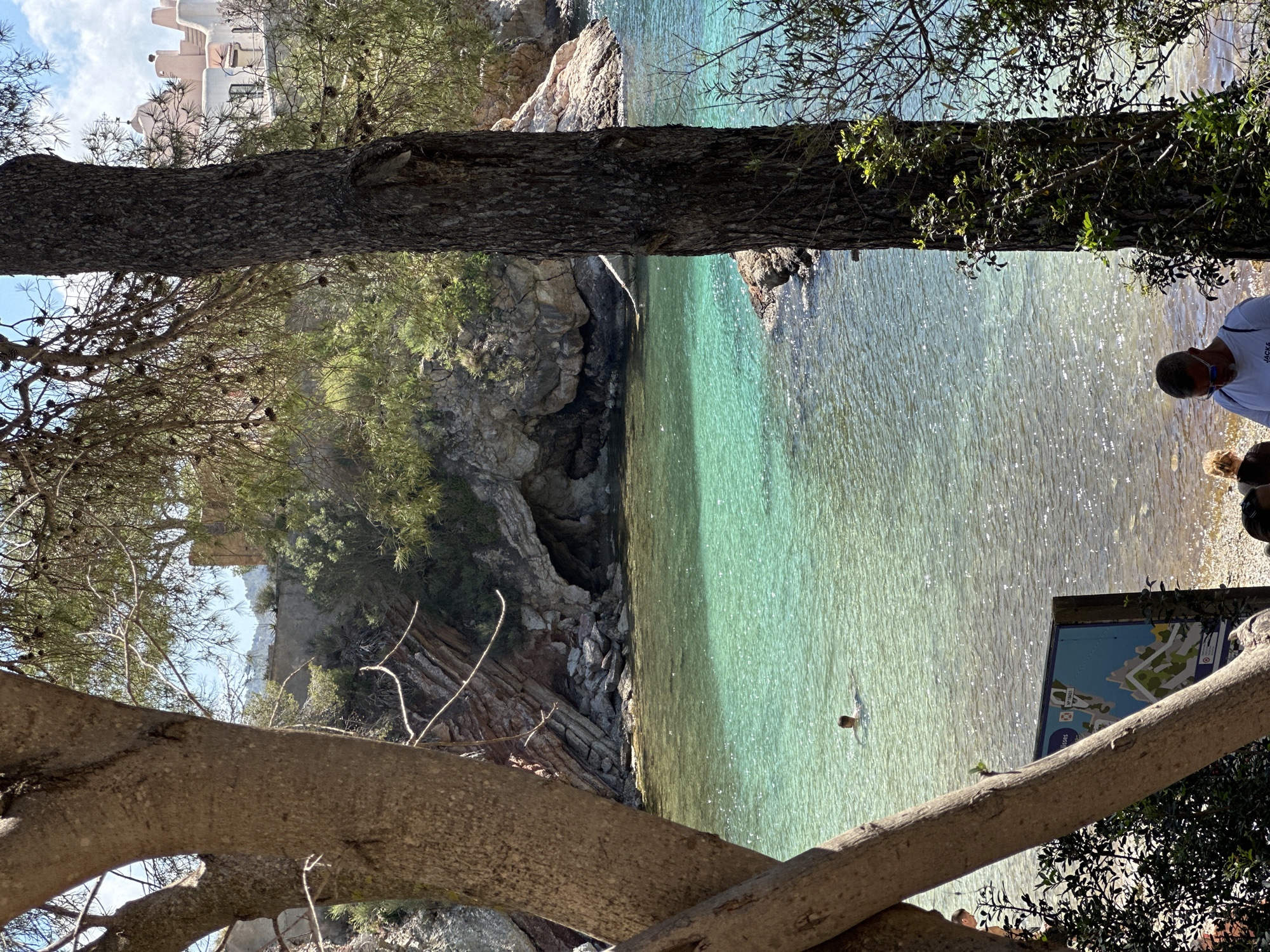 A sunny coastal scene in Peguera, Spain, viewed through trees. A person is swimming in clear, turquoise water. Rocky cliffs line the edge of the water on the left. A sign with a map is visible on the right side of the beach. People stand beside the sign. In the background, the sky is blue with white buildings in the distance.