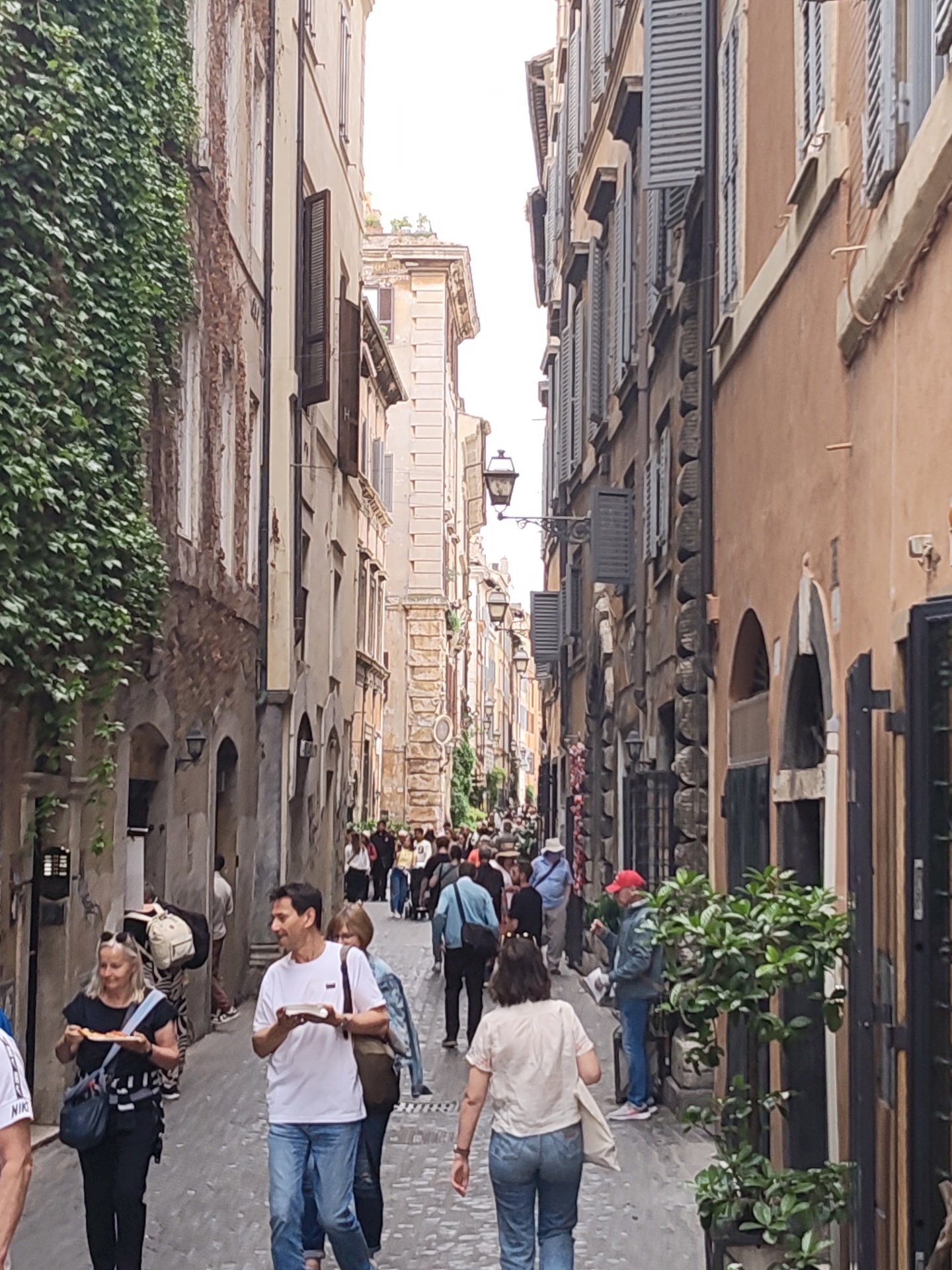 The image depicts a street scene in Rome, Italy, populated with numerous pedestrians. The narrow street is paved with stone and lined with aged buildings. The buildings' facades show a variety of architectural styles, including stone and stucco. The facades exhibit closed and open shutters, along with hanging street lamps. A wall of ivy climbs a building on the left side. Pedestrians are walking along the street in both directions, and some are carrying plates of food. Some are standing and looking around or speaking. The environment suggests a touristic or historic area, likely a popular pedestrian zone within Rome.