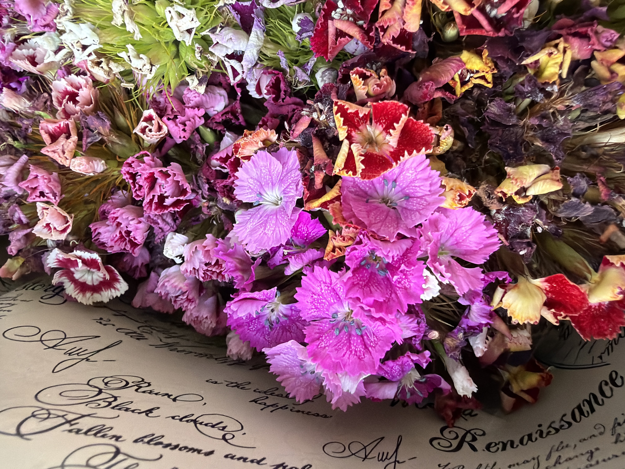 This is a close-up, overhead shot of a bouquet of dried flowers, predominantly in shades of pink, purple, and red, with some green foliage. The flowers appear delicate and somewhat faded, with visible textures of dried petals and stems. The bouquet is arranged on a surface with text written in cursive script, suggesting it might be a piece of parchment or decorative paper. The text is partially visible and reads: "Rain.", "Black clouds", "Fallen blossoms and", and "Renaissance". There are also other words and phrases that are difficult to decipher fully. The overall impression is one of natural beauty, perhaps hinting at themes of passage of time, memory, or artistic inspiration, all within the context of Kyiv, Ukraine. There are no people or specific location cues beyond the context provided.