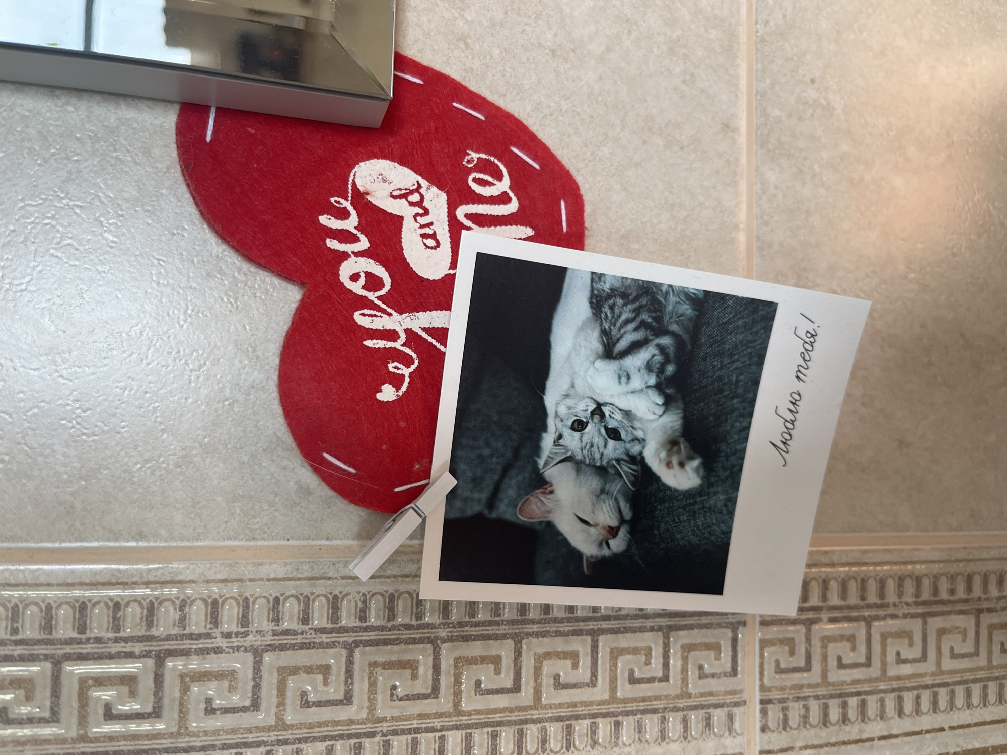 The image displays a close-up view of a wall, likely in a domestic setting. The wall is covered with tiled squares. A decorative red heart shape, possibly made of felt or fabric, is affixed to the wall. On the heart, white lettering reads "you and me". Below the heart, a Polaroid photograph is clipped to the wall with a clothespin. The photograph captures two cats nestled together, one predominantly white with its eyes closed, and the other a grey and white tabby with its eyes open, looking towards the camera. The cats appear to be resting on a dark-colored surface. Below the image of the cats, handwritten text in cursive reads "Люблю тебя!" which translates from Russian to "I love you!". The overall scene suggests a personal and affectionate display. There is no visual information within the image to suggest a specific location in the city of Vladimirovka, Russia.