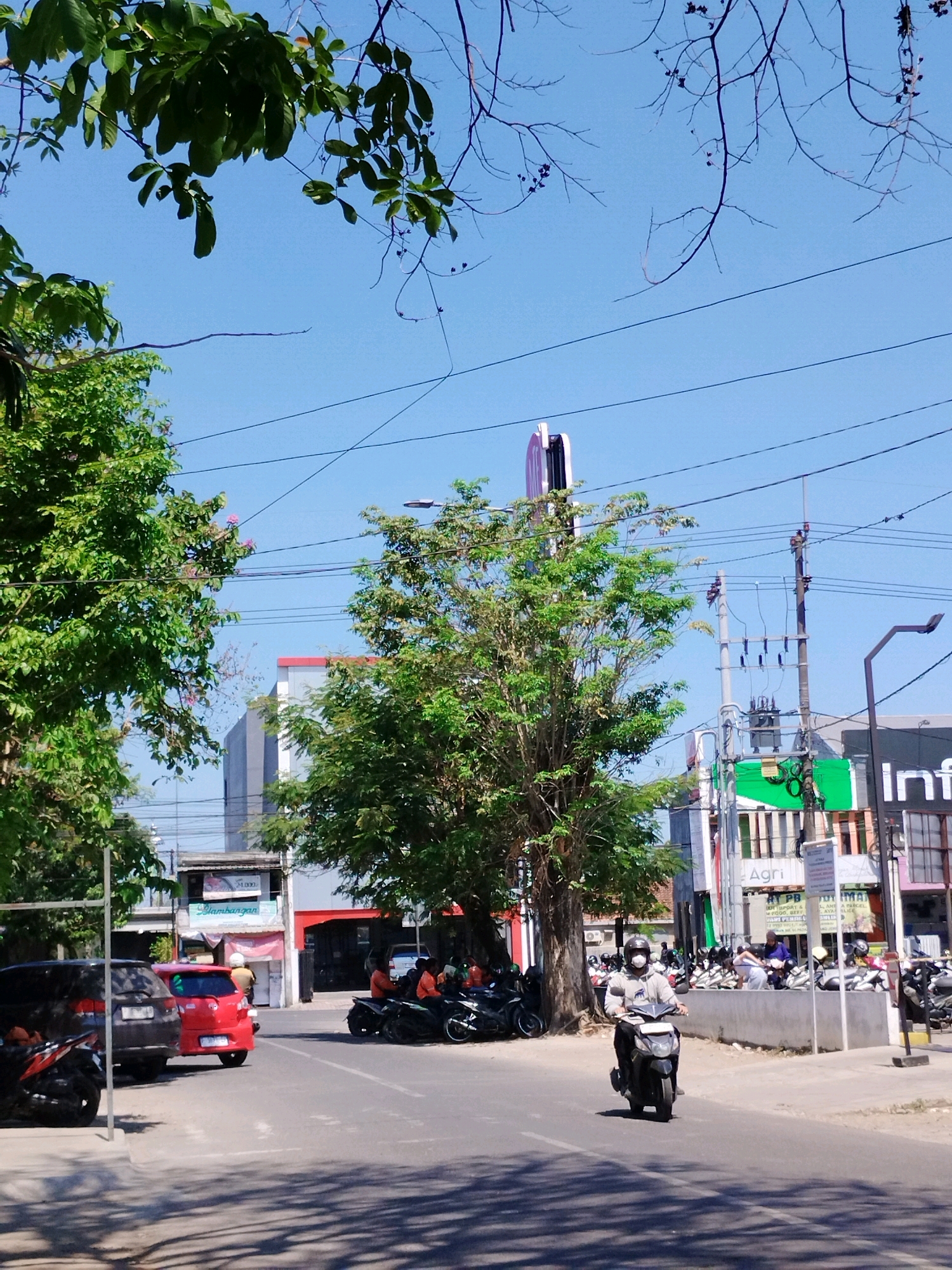 A street scene in Jember, Indonesia, under a clear blue sky, features a road with a person riding a scooter in the foreground. The scooter rider is wearing a light-colored hooded jacket and a mask. To the left of the road, parked cars, including a red hatchback, are visible. Further back, a large tree with green foliage stands prominently, casting shadows on the asphalt. Beyond the tree, several buildings are present, including a multi-story structure with glass windows and signs. There's also a traffic light visible. On the right side of the road, parked motorcycles and more buildings line the street. Overhead, power lines crisscross the sky, and branches of trees extend into the frame from the top. The overall impression is a typical urban street scene in a sunny climate.