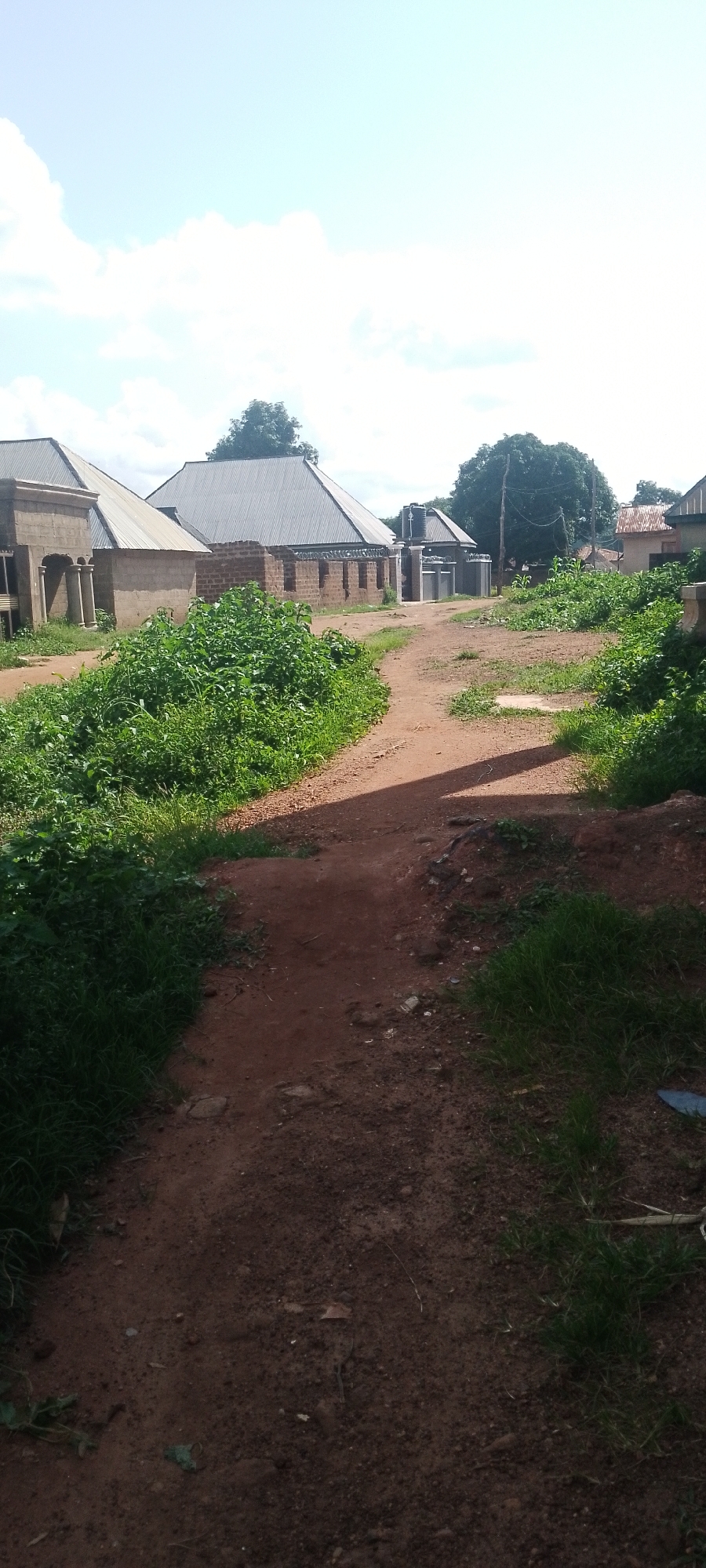 This is a medium shot, eye-level, vertical, outdoor photograph taken on a clear day. The scene depicts a dusty, dirt path leading away from the viewer, curving gently to the right. Lush green vegetation, including tall grasses and leafy plants, grows abundantly on either side of the path, particularly on the left.
In the background, several buildings with corrugated metal roofs are visible. The building on the left has a decorative facade with columns. Further down the path, a brick building with a similar roof is present, and a water tank is mounted on top of a smaller structure. A few trees punctuate the landscape, with a large, leafy tree dominating the middle right background. Utility poles and wires are also present. The sky is bright blue with scattered white clouds. The overall impression is of a rural or semi-urban environment. No people or animals are present in the frame.