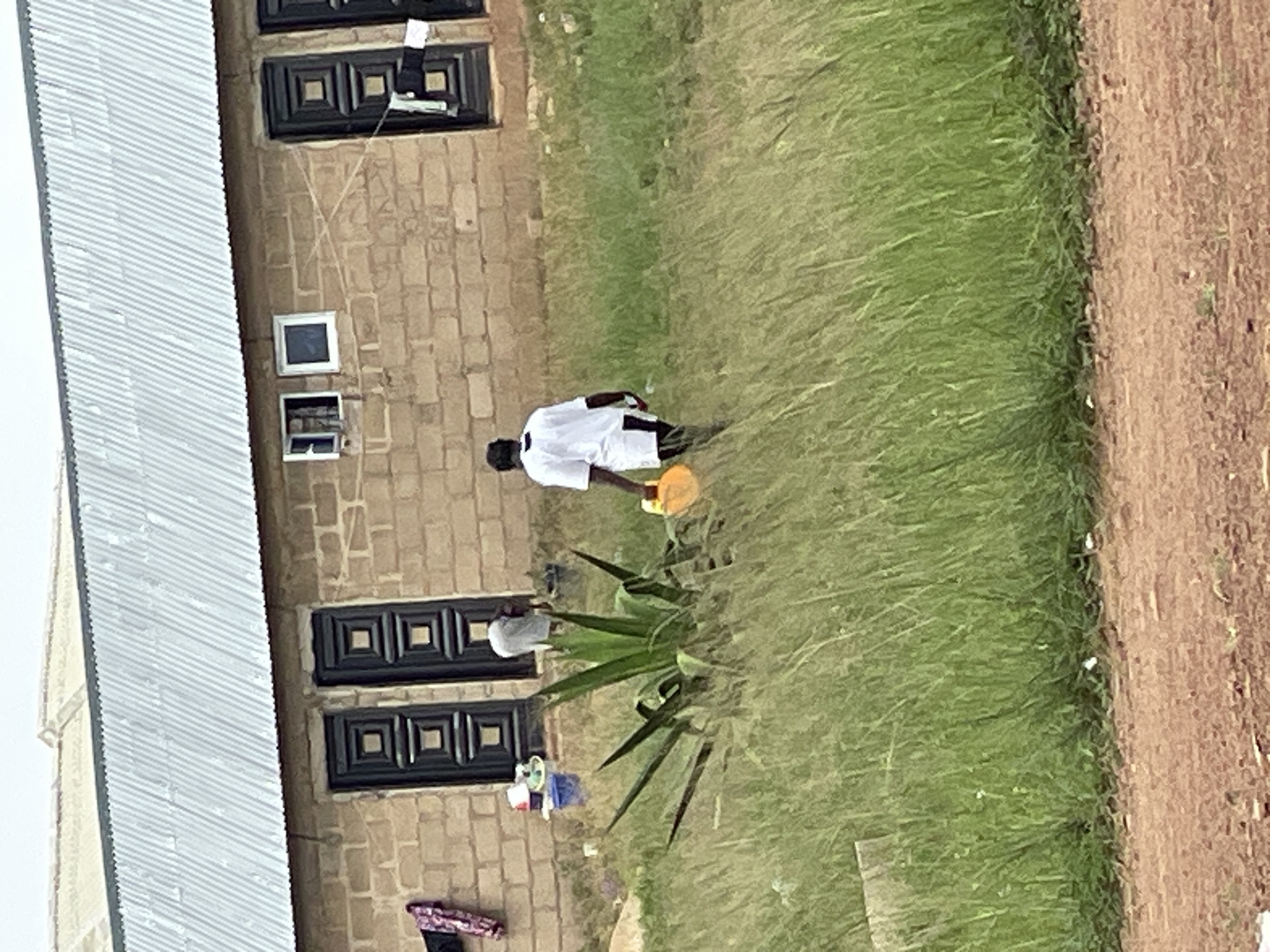 In Durumi, Nigeria, an individual in a white shirt and dark pants walks across a grassy area carrying a yellow plastic container. The person is moving away from a light brown brick building with a corrugated metal roof. The building has multiple dark doors with square paneling and at least two small windows. Clothes are hanging on the exterior of the building. A large, spiky green plant stands in the foreground, partially obscuring the view of the building's entrance. The ground in front of the grassy area is a reddish-brown dirt path.