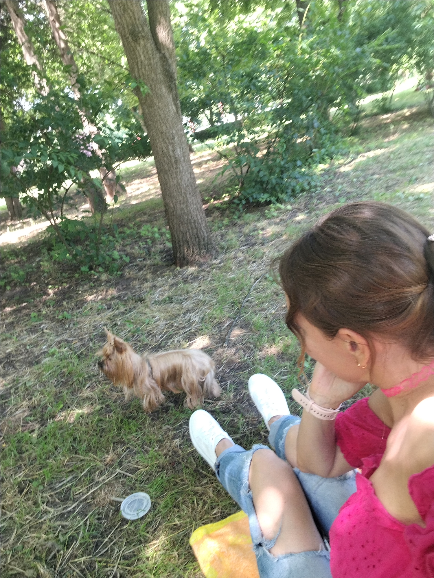 A medium shot captures a person in ripped denim jeans and a bright pink off-the-shoulder top sitting on the grass in a park. The person is on the right side of the frame, with their back to the camera, and appears to be looking down at a small, light brown dog. The dog, a Yorkshire Terrier, is standing on the grass to the left of the person, looking away from the camera. The environment is a park with trees and grass, suggesting a sunny day. The scene is set in Krasnodar, Russia.