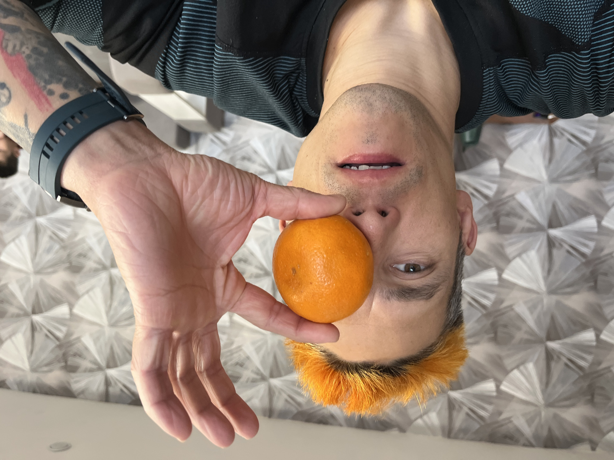 An inverted, close-up portrait captures a person playfully posing with an orange, set in Chaikovsky, Russia. The subject is a male with light skin and a unique appearance, featuring bright orange facial hair (possibly dyed or a prop) that stands out against his otherwise dark eyebrows and short, dark hair. His brown eyes gaze directly at the viewer, and his lips are slightly parted, revealing teeth, with a hint of stubble around his mouth. He wears a dark, short-sleeved shirt with horizontal blue stripes.
On his left arm, prominent dark tattoos are visible, and he sports a dark-colored smartwatch with a silicone strap. He holds a small, round orange fruit (resembling a tangerine or mandarin) between his thumb and forefinger, positioning it directly in front of his face, covering his nose. The background features a distinctive, bright, and reflective surface with an abstract geometric pattern of fanned, overlapping shapes in shades of white and grey, suggesting a decorative wall or panel indoors. The lighting is bright and even, indicating a daytime setting. No visible text is present in the image.