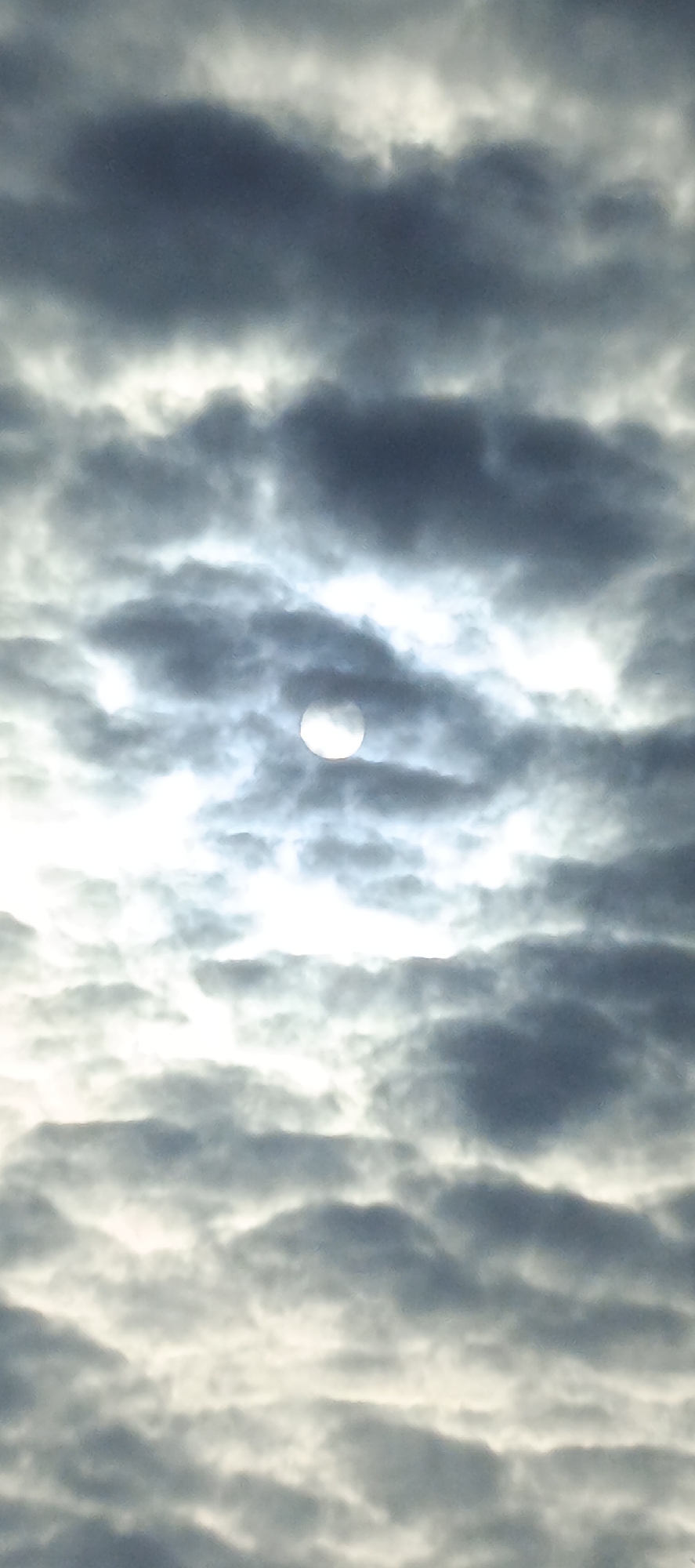 The image shows a cloudy sky with the sun partially obscured by the clouds. The clouds are layered and range in color from light gray to dark gray. The sun is visible as a bright white circle behind a thin layer of clouds. The photograph appears to have been taken during the day. The image does not include any people or objects on the ground and cannot be used to locate it in Chaikovsky, Russia.