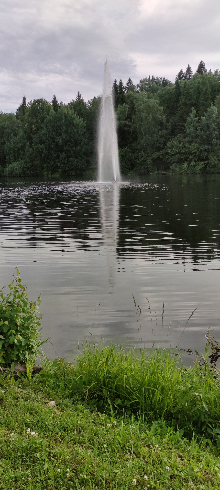 The image depicts a serene natural scene with a prominent fountain spraying water high into the air. The fountain is located in the center of a dark, rippling body of water, which reflects the fountain's plume and the surrounding environment. Lush green trees form a dense backdrop along the far shore of the water. The sky above is overcast with a mix of gray and white clouds. In the foreground, there is a grassy bank dotted with clover flowers and some taller green vegetation. The overall impression is one of tranquility and natural beauty, possibly in a park or recreational area. The location is identified as Rosinka, Russia.