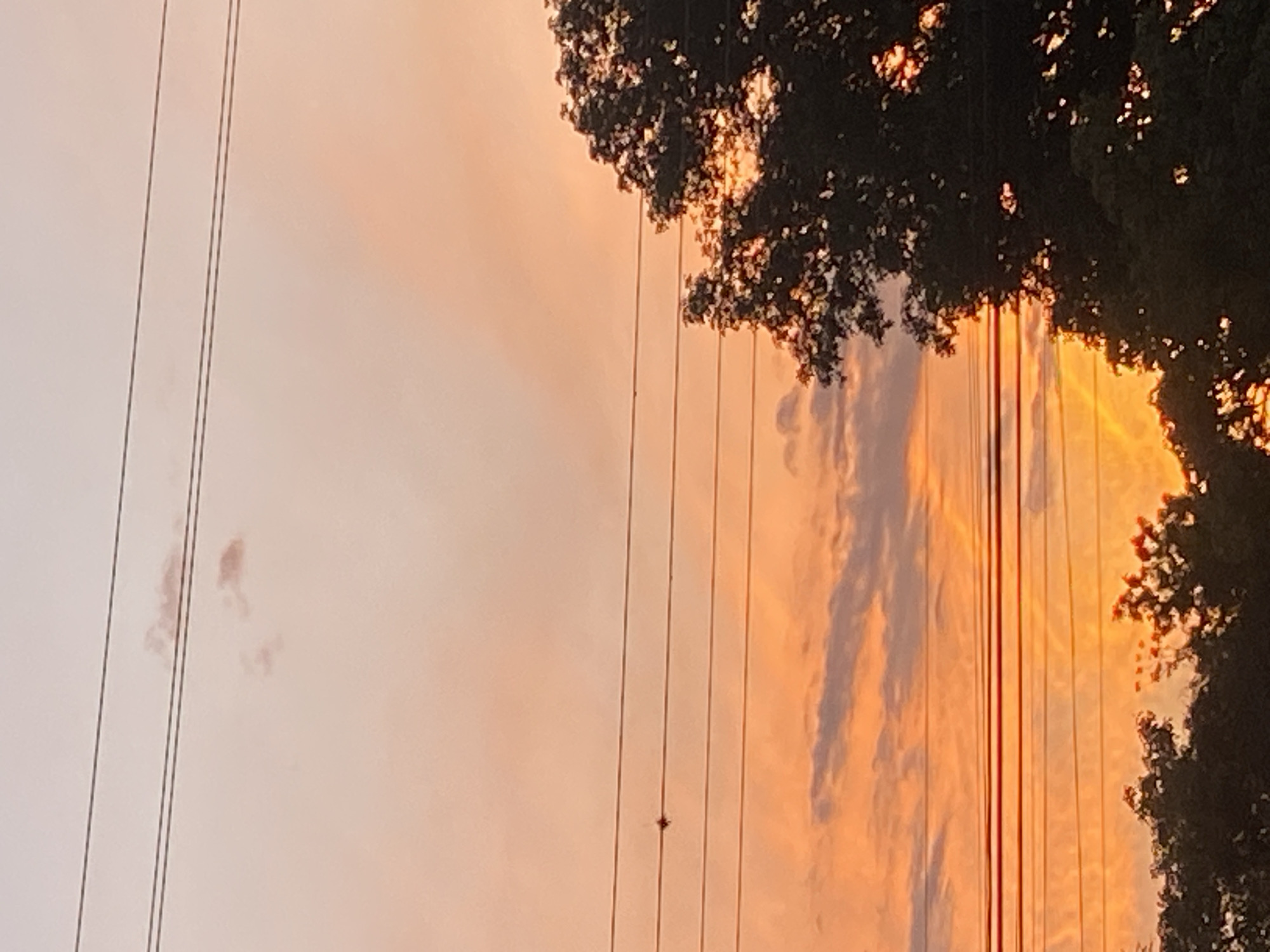 The image depicts a sunset scene in Tinaquillo, Venezuela. Silhouetted power lines stretch vertically across the frame against a sky gradient from light orange to darker hues. A tree line is visible on the right side, with sunlight filtering through the leaves. The sky has some clouds and different hues of orange and yellow. There's a dark dot on one of the cables, potentially a bird.
