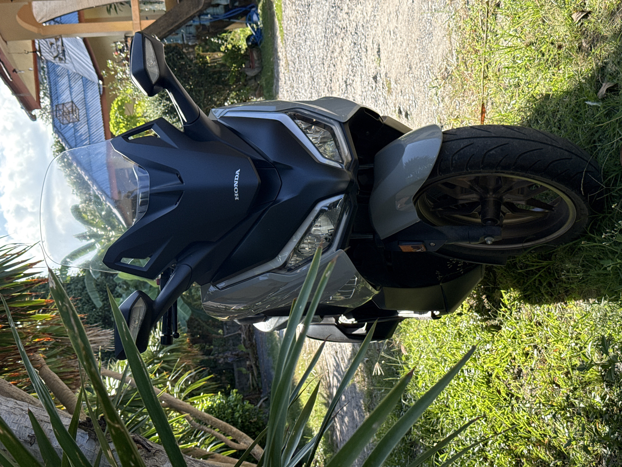 A front-facing shot shows a light gray Honda scooter parked on a gravel and grass area. The scooter has a large windshield, black handlebars, and prominent headlights. The background features lush green foliage and a traditional Thai house with a blue tiled roof. The lighting suggests it is daytime, with sunlight filtering through the leaves of nearby palm trees, casting shadows on the scooter and ground. No people are visible in the frame.