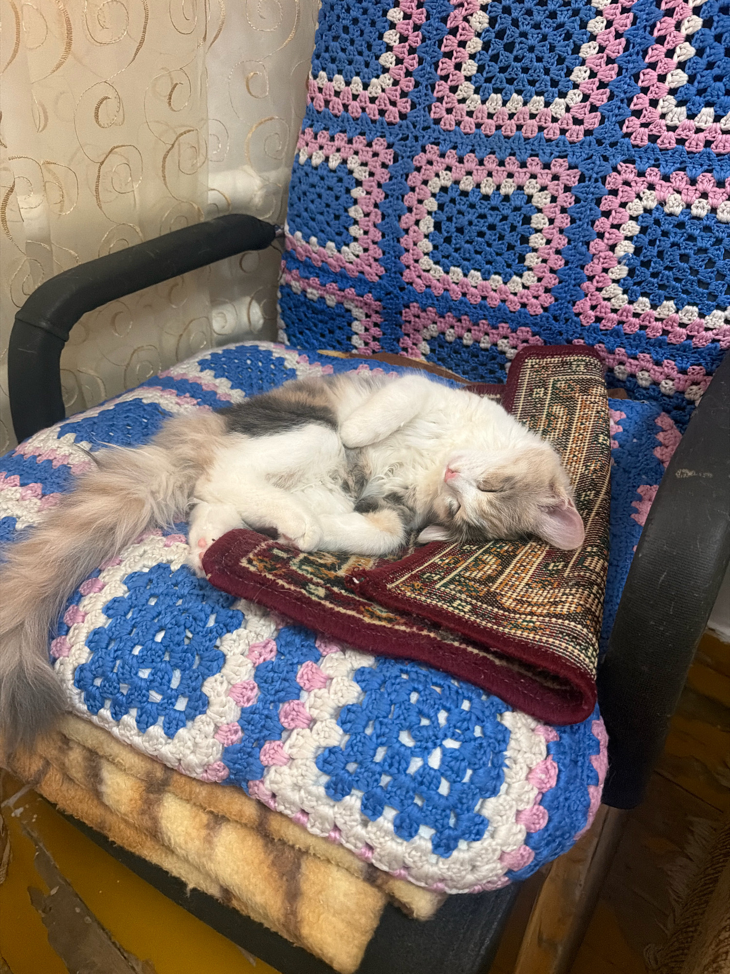 A cat sleeps curled up on a chair. The chair is covered with a blue, pink, and white crocheted blanket. A small rug with a patterned design is placed on top of the blanket, and the cat is sleeping on the rug. The cat has white fur with patches of grey and tabby markings. Its tail is long and fluffy. The background shows a curtain with a swirling pattern. The scene appears to be indoors, possibly in a home. There are no people visible in the image. The setting is consistent with a residential interior in Zarafshan, Uzbekistan.