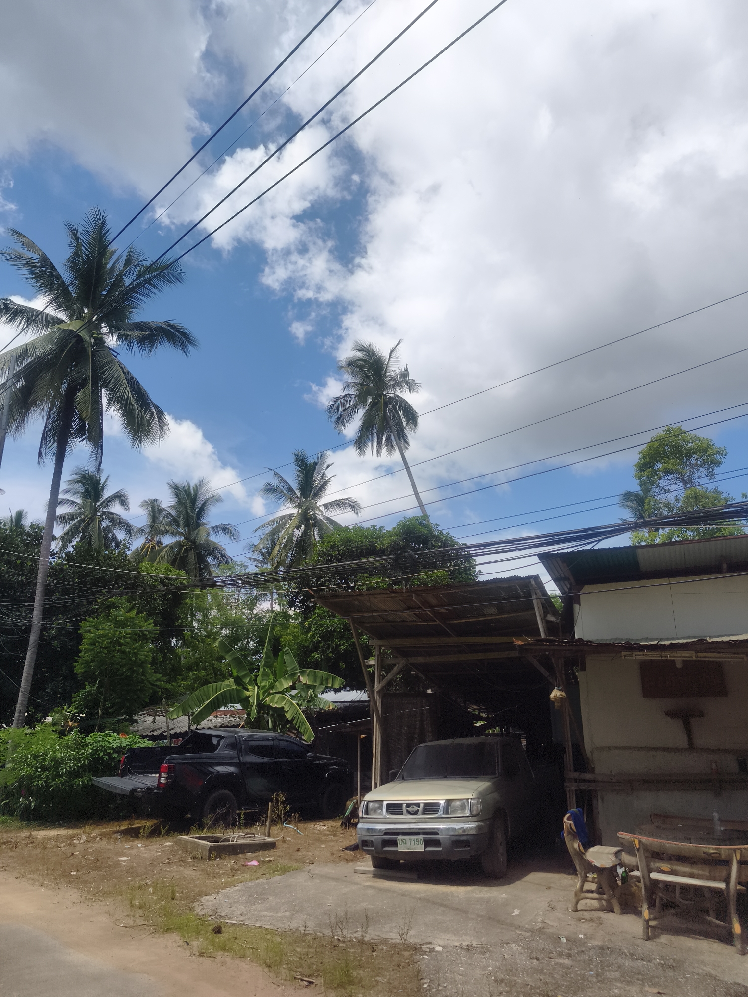 A bright, sunny day with scattered clouds is depicted in Baan Lamai, Thailand. The scene is dominated by several tall coconut palm trees, their fronds reaching towards the blue sky, interspersed with a variety of lush green foliage. Overhead, multiple power lines crisscross the frame, adding a sense of urban infrastructure to the tropical environment.
In the foreground, a dirt road leads into a property where two vehicles are parked. To the left, a black pickup truck with its tailgate down is positioned on a patch of dry grass and dirt. To the right, under a rustic, open-sided shelter with a corrugated metal roof, a light-colored SUV is parked. The shelter appears to be an extension of a simple building with a light-colored facade. In front of this building, there is outdoor seating, including a wooden bench and a chair. The ground around the vehicles and shelter is a mix of concrete, dirt, and patchy grass. The overall impression is a casual, lived-in outdoor space within a tropical locale.