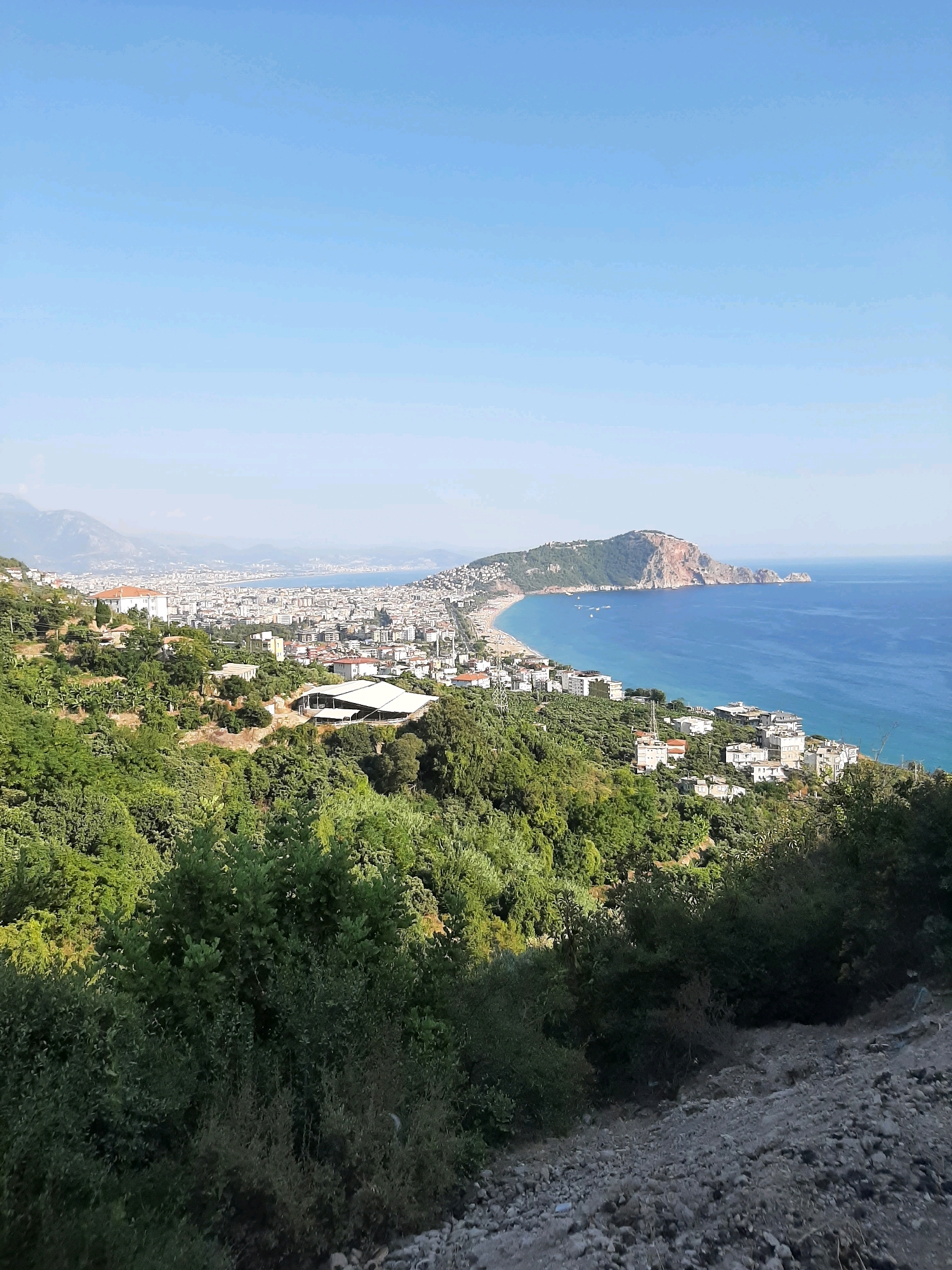 This is a wide, high-angle shot of a coastal city in Alanya, Turkey, on a clear, sunny day. The foreground is dominated by a steep, rocky slope covered in sparse vegetation, transitioning into a dense, green hillside thick with trees and foliage. In the middle ground, the hillside gives way to a settlement with numerous white and light-colored buildings, some with red-tiled roofs, nestled among more greenery. A large, white-roofed structure, possibly a restaurant or event venue with open sides, is visible on the hillside. Further in the distance, the city of Alanya stretches along the coastline, characterized by a dense collection of white buildings. The coastline itself is marked by a long, sandy beach. The deep blue sea occupies the right side of the image, meeting the distant shoreline. A prominent, rugged peninsula juts out into the sea on the far right, topped with a structure that appears to be a fortress or castle. The sky is a clear, pale blue, with no clouds visible. The overall scene depicts a Mediterranean coastal landscape with a city built on the hills overlooking the sea.