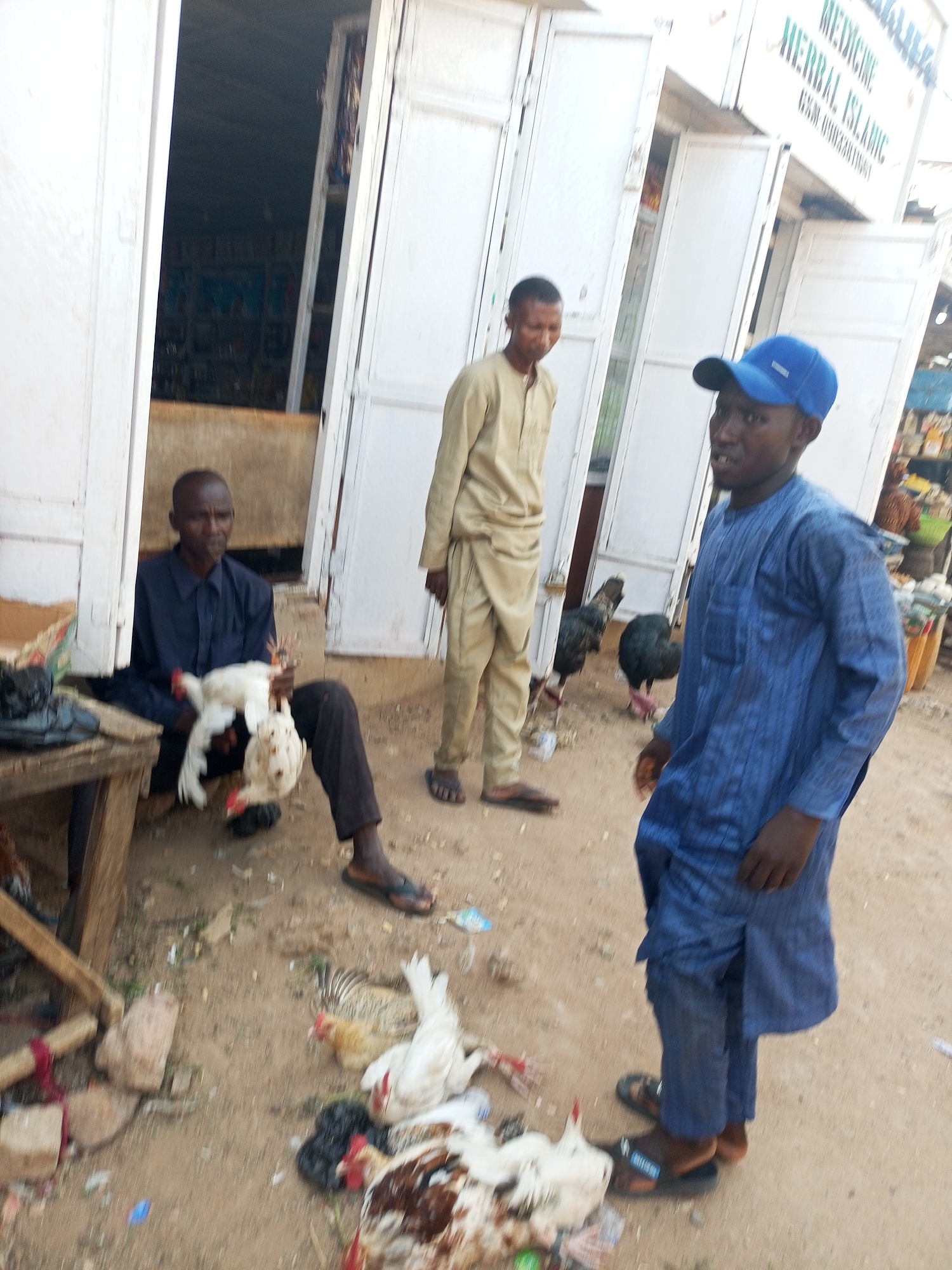 The image depicts a street scene in what appears to be a market area. Three men are visible. One man sits on a low structure, holding two white chickens. Another man, dressed in a light tan traditional outfit, stands nearby. The third man, wearing a blue outfit and a blue cap, stands in the foreground. Several dead chickens are lying on the ground. Two black turkeys are also present. The background features buildings, including one with a sign that reads "MEDICINE HERBAL ISLAMIC." The ground is dirt and littered with debris. Based on visual clues and the prompt, the location is in or near Tempure, Nigeria.