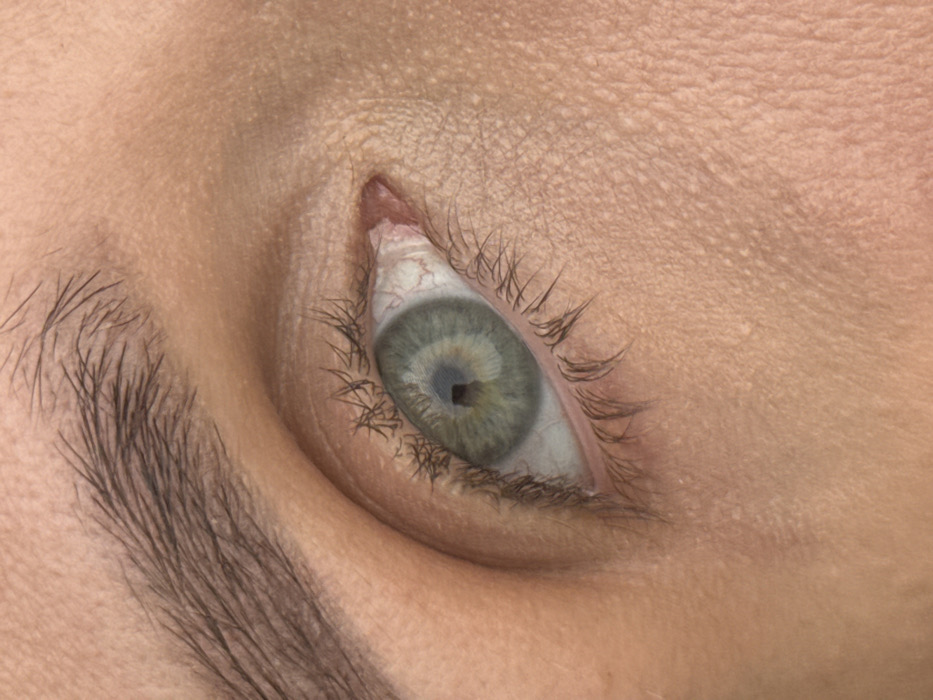 The image provides an extreme close-up view of a human left eye and its immediate surrounding facial features. The central subject is the eye, which features a green-hazel iris with a darker outer limbus and a lighter ring around the pupil. The pupil is black and circular, containing a discernible, irregularly shaped reflection that suggests a window or an overhead light source. The white sclera exhibits several prominent red capillaries, particularly concentrated near the reddish-pink lacrimal caruncle located at the inner canthus. Dark, natural-looking eyelashes are visible along both the upper and lower eyelids. A portion of a dark, relatively thick eyebrow is visible in the upper-left quadrant of the frame. The skin encompassing the eye is light-toned, displaying natural texture, pores, and fine lines, notably on the lower eyelid and towards the outer canthus. No background or environmental elements are present within the frame that would allow for the determination of a specific geographical location, including the city of Chaikovsky, Russia. There are no apparent actions or interactions depicted.