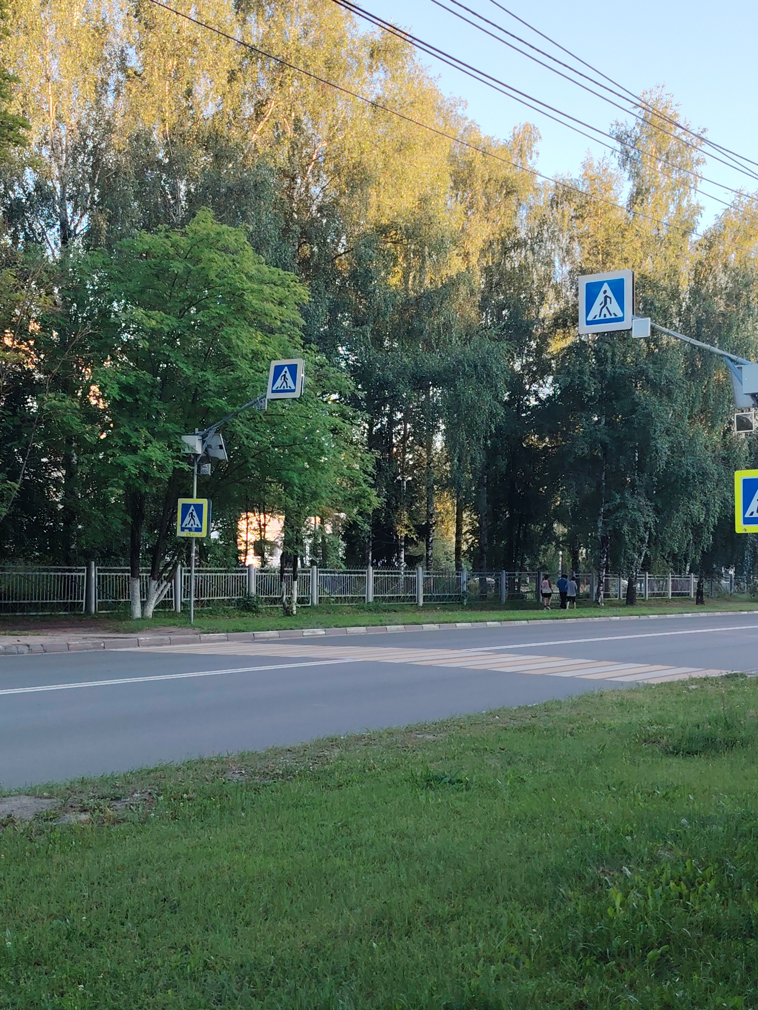 The image shows a street scene in Konakovo, Russia, with a pedestrian crossing in the foreground. The crossing is marked with white stripes on the asphalt road. On the left side of the road, there is a sidewalk and a grassy area with trees. Several pedestrian crossing signs are visible, blue squares with white silhouettes of people walking. One sign is mounted on a pole next to a tree, while another is attached to a signal light pole further down the road. In the background, there is a line of trees with lush green foliage, and beyond that, a clear blue sky. A white metal fence runs along the edge of the sidewalk. Several people are seen walking near the fence in the middle ground. Overhead, power lines are visible against the sky. The lighting suggests it is daytime, possibly late afternoon given the warm tones in the foliage.