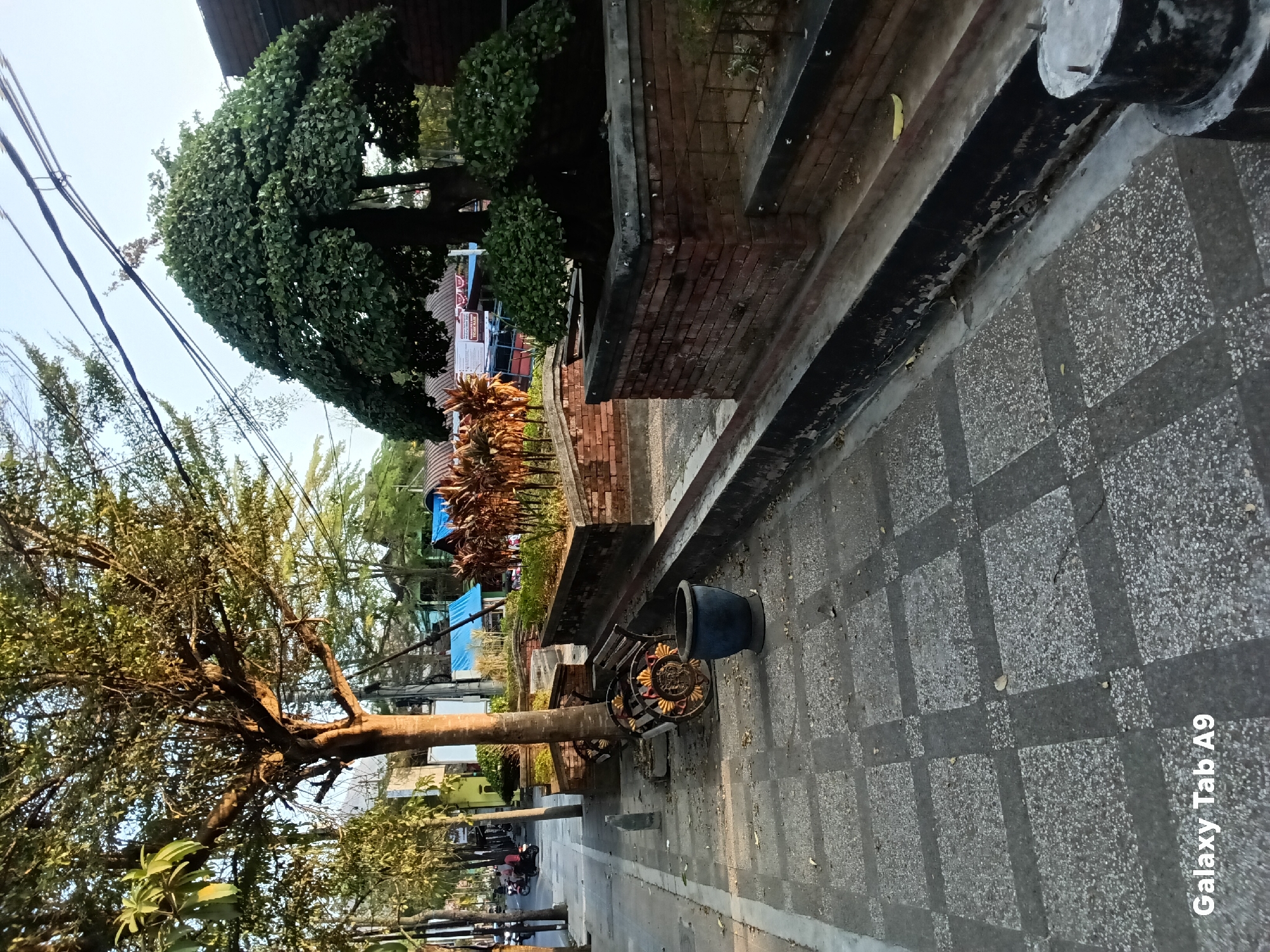 The image depicts a street scene in Kelutan, Indonesia. A paved walkway with a checkered pattern runs along the left side of the frame, bordered by a road with a few motorcycles visible in the distance. A tree with a thick trunk and a sprawling canopy stands beside the walkway, casting dappled shadows. To the right of the walkway, there is a brick planter box containing a large bonsai tree. Adjacent to the tree and walkway is a dark blue pot. Further to the right, a dark, weathered metal bench with decorative elements is situated near the brick planter. The background shows buildings with various roofing materials and some greenery. The lighting suggests it is either early morning or late afternoon, with the sun casting a warm glow.