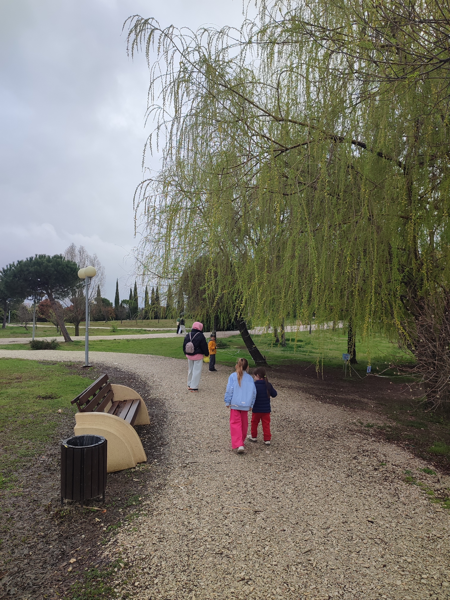 The image shows a park scene in Sochi, Russia, on an overcast day. In the foreground, two children, a girl in a light blue jacket and pink pants, and a boy in a navy jacket and red pants, are walking away from the camera on a gravel path. Ahead of them, an adult wearing a pink hooded jacket and carrying a white backpack is also walking on the path. Another child in an orange jacket is visible slightly to the left of the adult.
To the left of the path, there is a park bench and a black trash can. A large willow tree with light green leaves drapes over the right side of the path. In the background, there are various trees, including some cypress trees, and green grassy areas. A street lamp is visible on the left side of the path. The sky is overcast and grey.