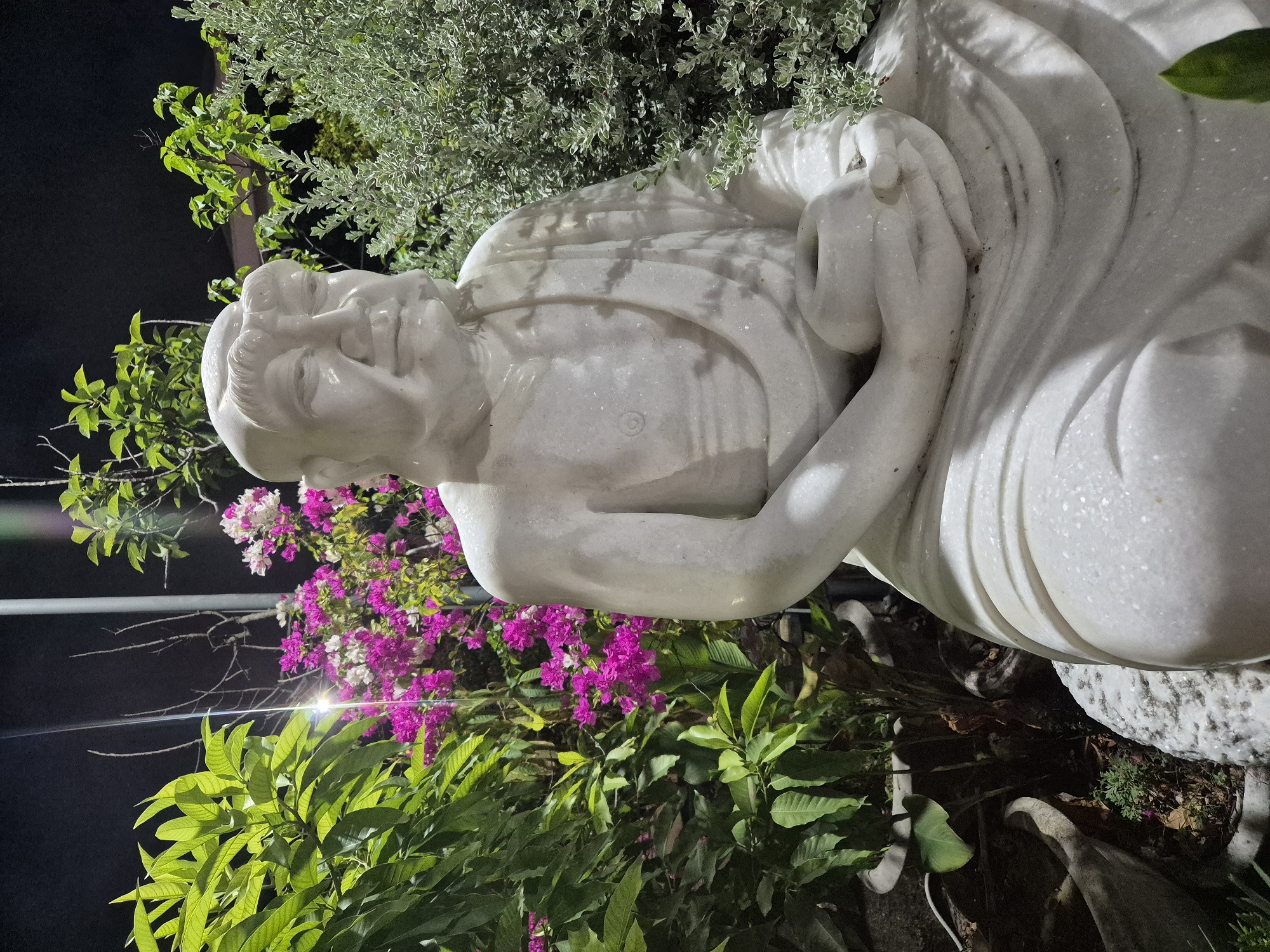 A white marble statue of a seated figure, possibly a Buddha or a monk, is prominently displayed in an outdoor garden setting at night. The statue is carved with intricate details, including flowing robes and a tranquil facial expression, and appears to be made of speckled white marble. It is surrounded by lush green foliage, vibrant pink and white bougainvillea flowers, and a bushy, silver-green plant. The scene is illuminated by artificial light, casting shadows on the statue and highlighting its texture. In the background, a dark night sky is visible, with some overhead lighting fixtures suggested by streaks of light. The statue is positioned in what appears to be a decorative garden or a sacred space, possibly at a temple or a private residence. The surrounding pots and plants suggest a well-maintained garden environment. The location is identified as Đà Nẵng, Vietnam, indicating a tropical or subtropical climate conducive to the growth of such flora.