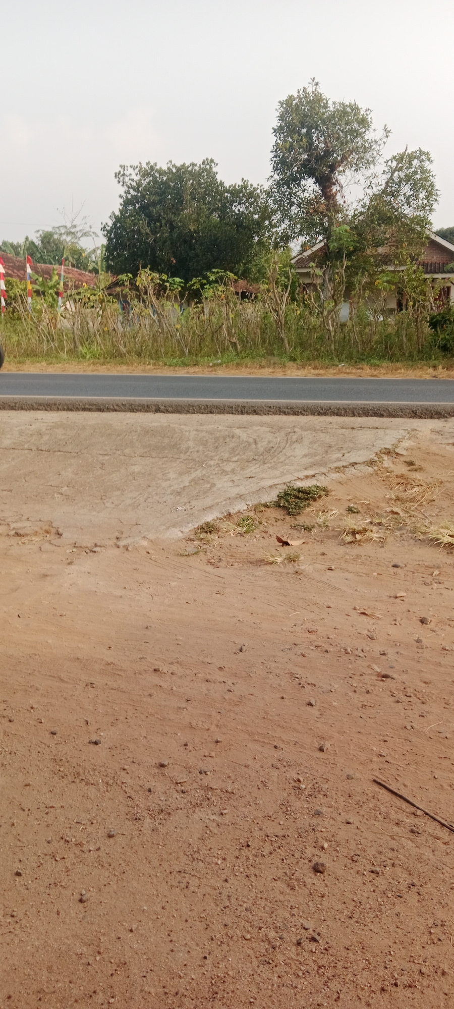 The image depicts a roadside scene in Gondang Rejo, Indonesia, under an overcast sky. In the foreground, a sandy, somewhat uneven ground surface with scattered small stones and debris is visible. A section of concrete with visible tire tracks and a slight incline borders this sandy area. Beyond this, a paved road runs horizontally across the frame, with a rough shoulder of gravel and dirt. The background features a line of dry, leafless bushes and shrubs forming a barrier, behind which are buildings with tiled roofs and some scattered trees. Red, white, and yellow flags are planted along the roadside, indicating a celebration or event. The overall impression is of a rural or semi-rural setting.