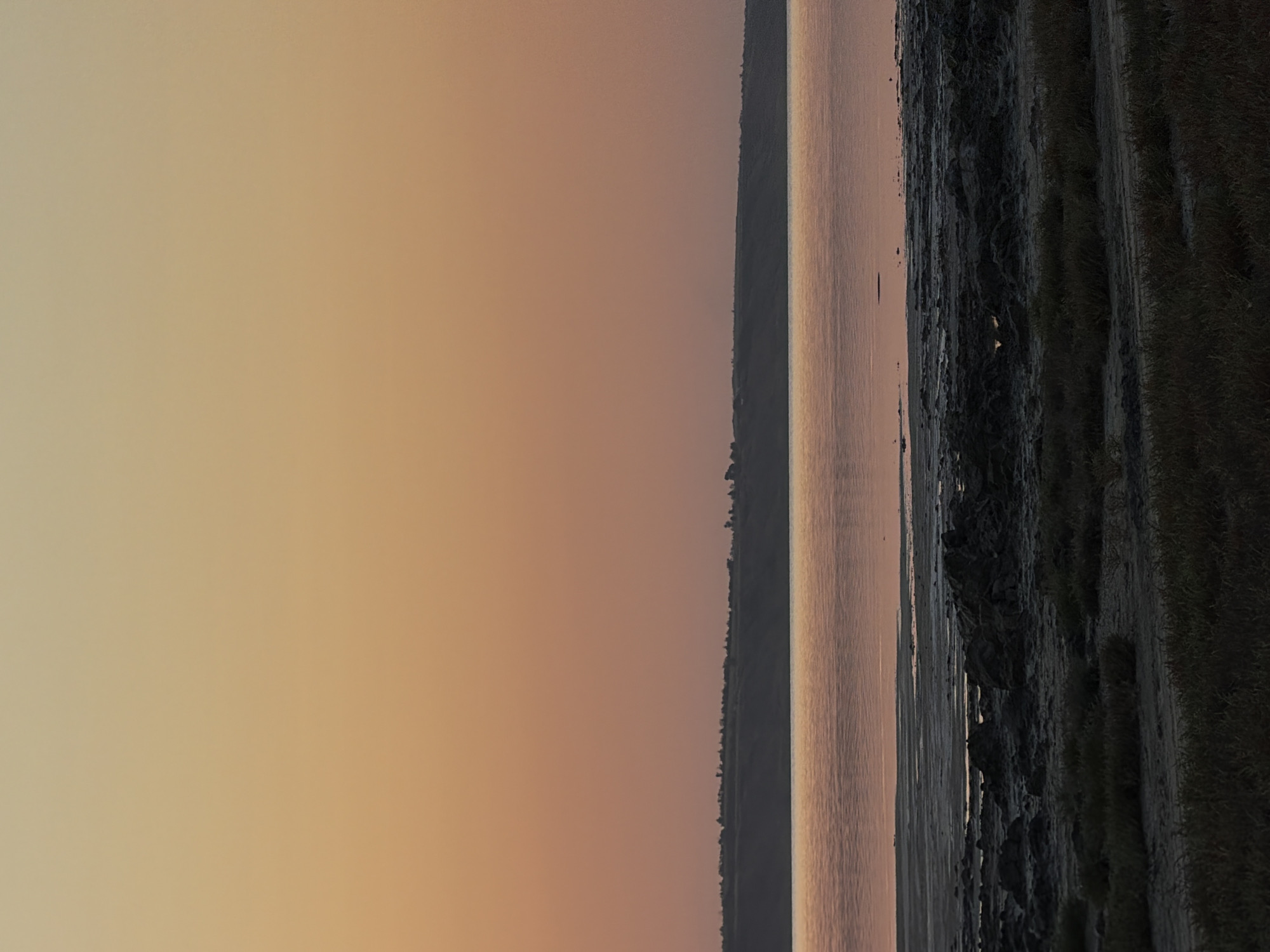 The image depicts a serene natural landscape at dusk, likely near the city of Odesa, Ukraine. The scene is dominated by a vast expanse of calm water reflecting the warm hues of the twilight sky. A subtle gradient of orange and yellow colors transitions across the horizon, creating a soft and peaceful atmosphere. In the distance, a dark, silhouetted landmass is visible, possibly a coastline or a distant shore, lined with a sparse arrangement of trees.
In the foreground, the terrain appears to be a muddy or sandy shore with rocky outcrops and patches of dry grass. The textures suggest a dry or semi-arid environment. The water level appears low, exposing a significant portion of the shoreline with visible ripples and shallow areas. The overall impression is one of natural beauty and tranquility, with the approaching night casting a muted glow over the landscape. There are no visible people, animals, or man-made structures, emphasizing the wild and untouched nature of the location.