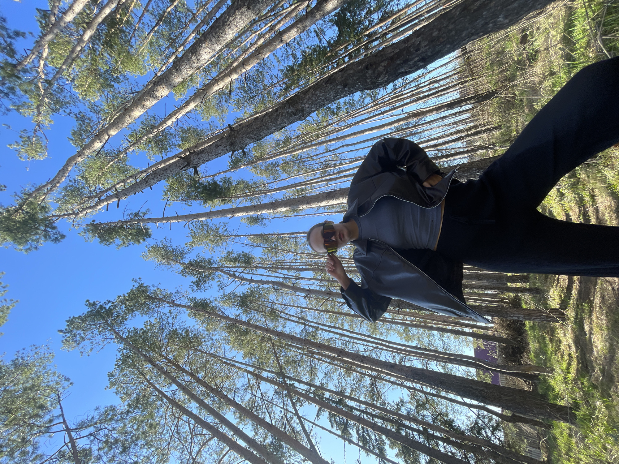 A woman with amber glasses is standing amongst a dense forest in Podshivalovo, Russia. She is wearing a gray shirt, black pants, and a black leather jacket. Her left hand holds the glasses. The forest is full of tall, thin trees reaching upwards towards a bright blue sky. The ground is covered with dead leaves and small patches of green grass. The photo is taken from a low angle, looking up at the trees and the woman.