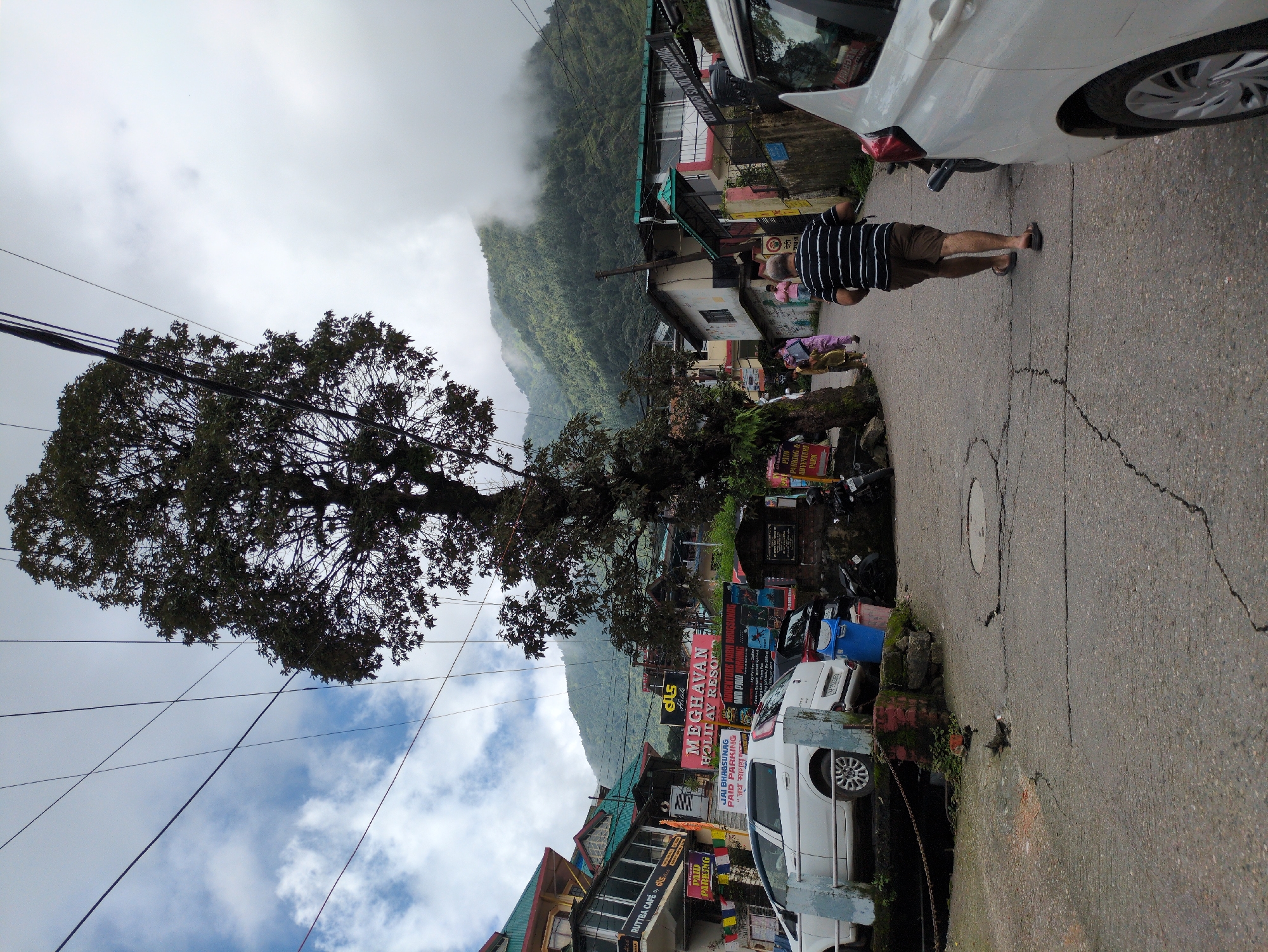 The image depicts a street scene in Bhagsu, India, on a cloudy day with mist obscuring the upper portions of the surrounding mountains. A paved road, marked with cracks, winds uphill. On either side of the road are buildings, some with shops and signage. A large tree with dense foliage stands prominently in the center of the frame, its branches reaching towards the sky, which is crisscrossed with power lines. Several vehicles, including white cars and a motorcycle, are parked or driving on the road. A few individuals are visible walking along the street. The architecture of the buildings suggests a hilly, possibly tourist-oriented area. The overall atmosphere is somewhat overcast, with a sense of a bustling street set against a dramatic mountain landscape.