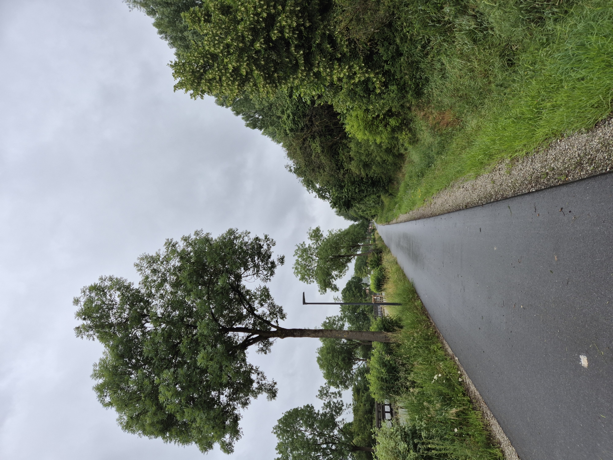 The image shows a paved pathway running alongside a grassy embankment and dense trees under an overcast sky. The pathway appears wet, suggesting recent rain. On the left side of the path, there are several trees of varying sizes, a bench, and a streetlamp. The right side of the path is lined with lush green grass and more trees. The overall setting suggests a park or a recreational area. The location is identified as Ergolding, Germany.