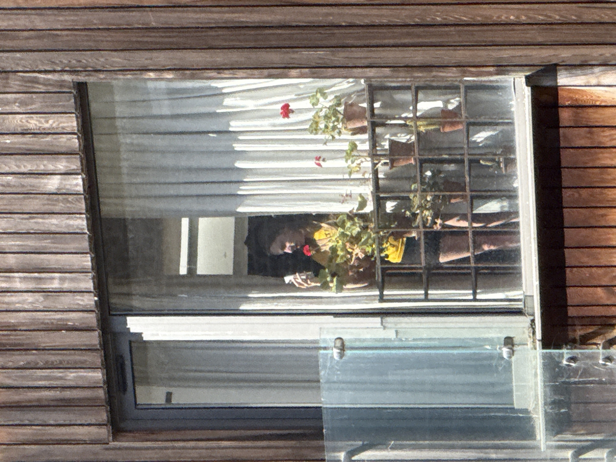 Captured through a window, a person wearing a black hat and a yellow garment is observed inside a building. The window has a metal grid and potted plants with red flowers are placed on the outside of the window. The window appears to be positioned in a building in London, United Kingdom. The building is constructed of horizontal wooden panels. The window is partially open, with the bottom pane of glass.