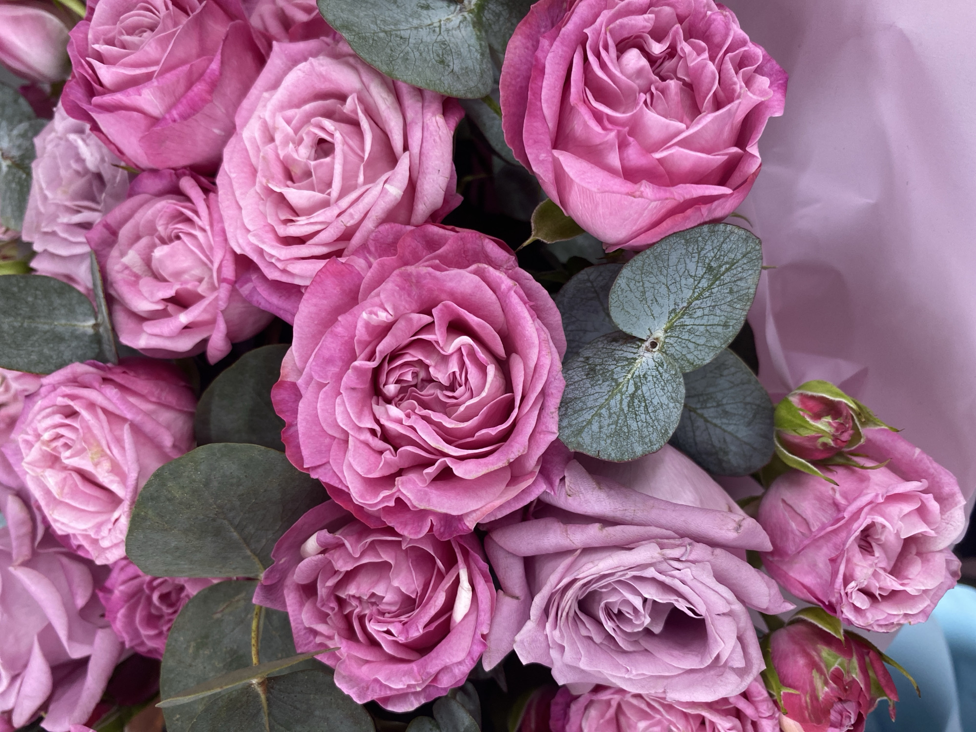 The image depicts a bouquet of pink roses and eucalyptus leaves. The roses are in various stages of bloom, some fully open and others still in bud. The leaves are a muted green-gray color. The bouquet appears to be wrapped in a pale pink paper. No people are visible. There is no information about the location in Yekaterinburg, Russia.