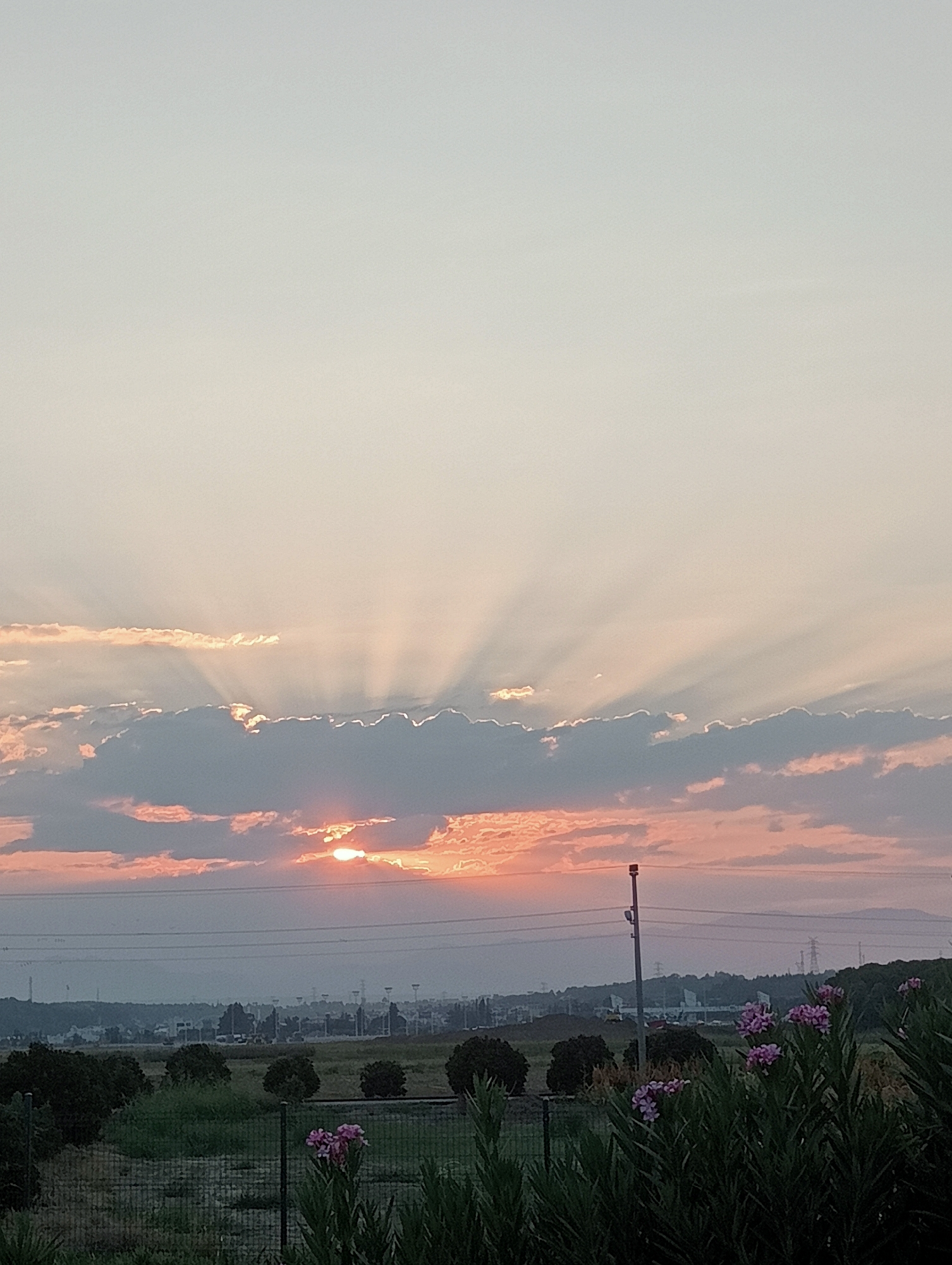 The image depicts a serene sunset over a semi-urban landscape. The sky is dominated by soft, pastel hues, transitioning from a pale blue at the top to warm pinks and oranges near the horizon. Sunbeams radiate outwards from behind a band of clouds, creating a dramatic crepuscular effect. The clouds themselves are a mix of soft grays and pinks, with some appearing to be backlit by the setting sun.
Below the sky, a distant cityscape is visible, characterized by a cluster of buildings and industrial structures, including what appear to be power transmission towers and pylons. The silhouette of the city suggests a moderate population density. The foreground features a strip of land with scattered trees and bushes, some of which are dark and dense, while others are more open. A wire fence runs across the lower part of the image, and on the right side, a cluster of vibrant pink flowers in bloom adds a touch of color to the scene. A solitary utility pole stands near the center of the image, interrupting the horizontal lines of the distant landscape. The overall impression is one of a tranquil evening as the day concludes.
While the image captures a beautiful natural phenomenon, it does not contain specific geographical markers or contextual information that would allow for precise identification of the location within the city of Aksu, Turkey.