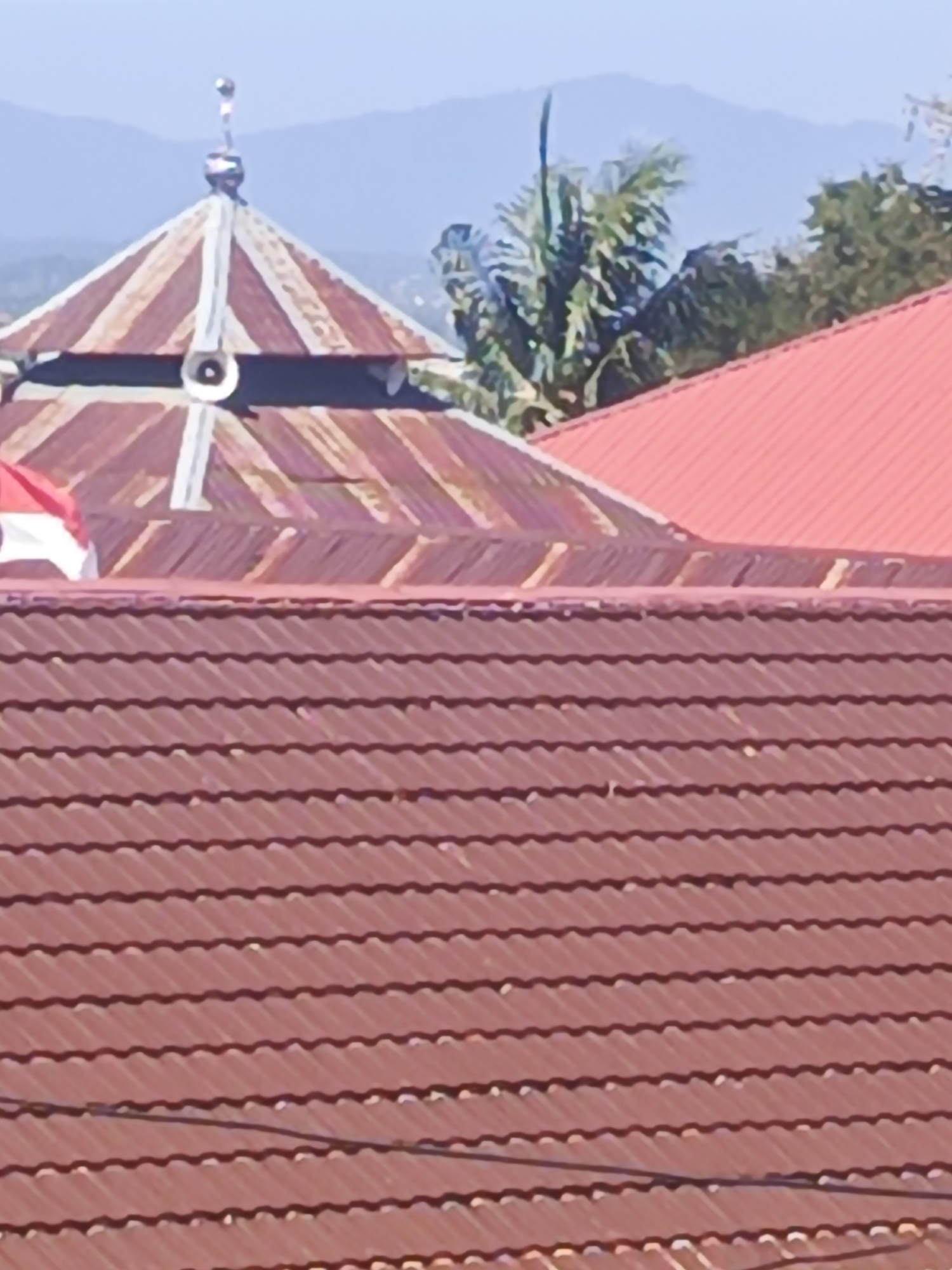 The image is a photograph of rooftops, likely in Kendari, Indonesia, based on the context provided. The foreground is dominated by a section of a brown, corrugated tile roof. In the middle ground, a portion of a building with a rusted metal, multi-layered conical roof is visible. This roof has a finial on top and two white speakers mounted on its sides. To the right of this building, a bright red, metal-sheeted roof is partially visible. Behind these structures, lush green foliage, including palm trees, and distant blue mountains under a clear sky are discernible. The overall scene suggests an outdoor environment with residential or public buildings.