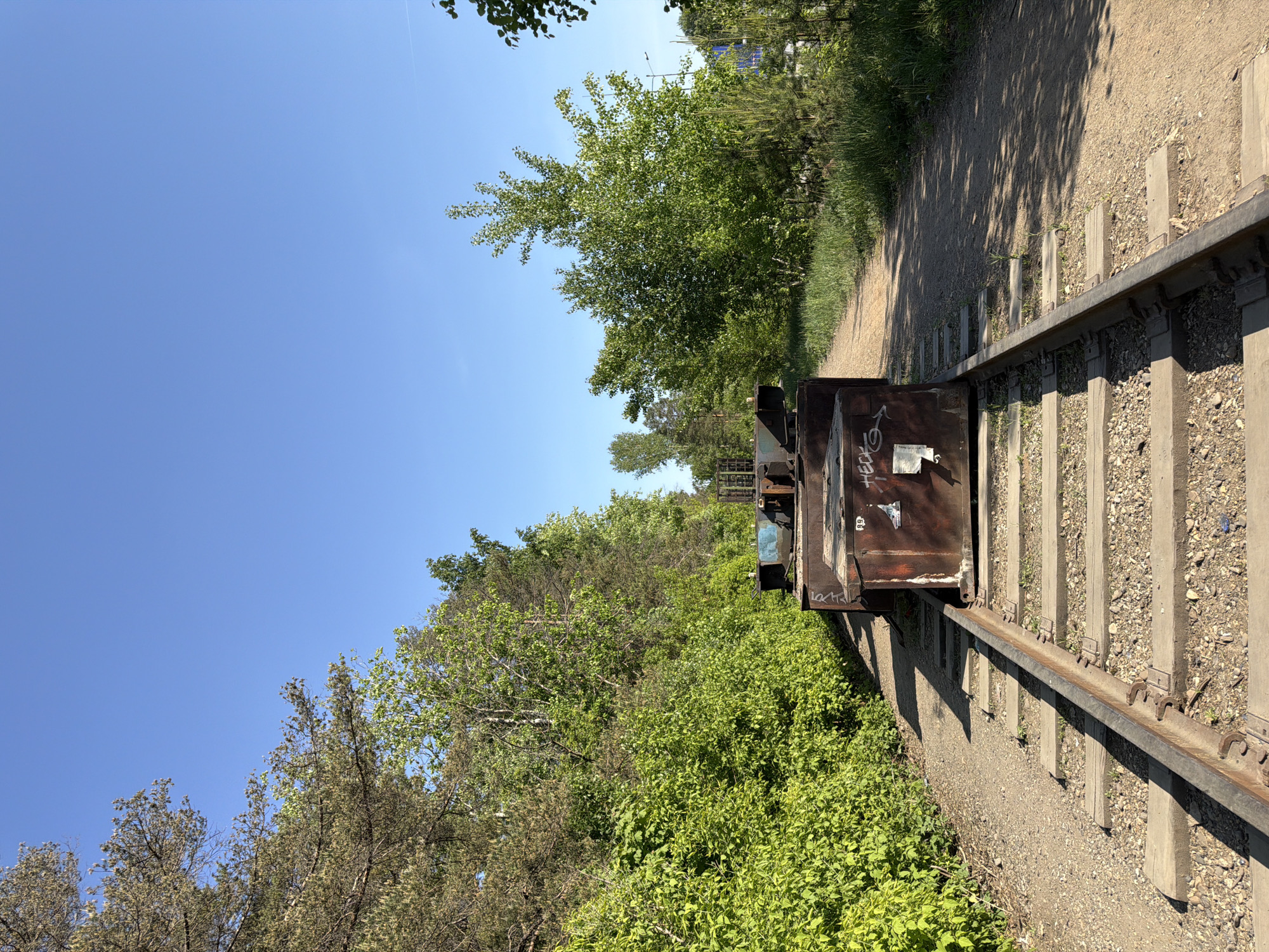 The image depicts a section of abandoned railway tracks in a natural setting. The rails are rusty and supported by concrete sleepers. A weathered, metal railcar sits on the tracks, covered in graffiti and showing signs of rust and decay. Dense vegetation, including trees and bushes, flanks the railway on one side. A dirt path runs alongside the tracks on the other side. The sky is clear and blue. Based on the prompt, the location is in the city of Chaikovsky, Russia. No people are visible in the frame.