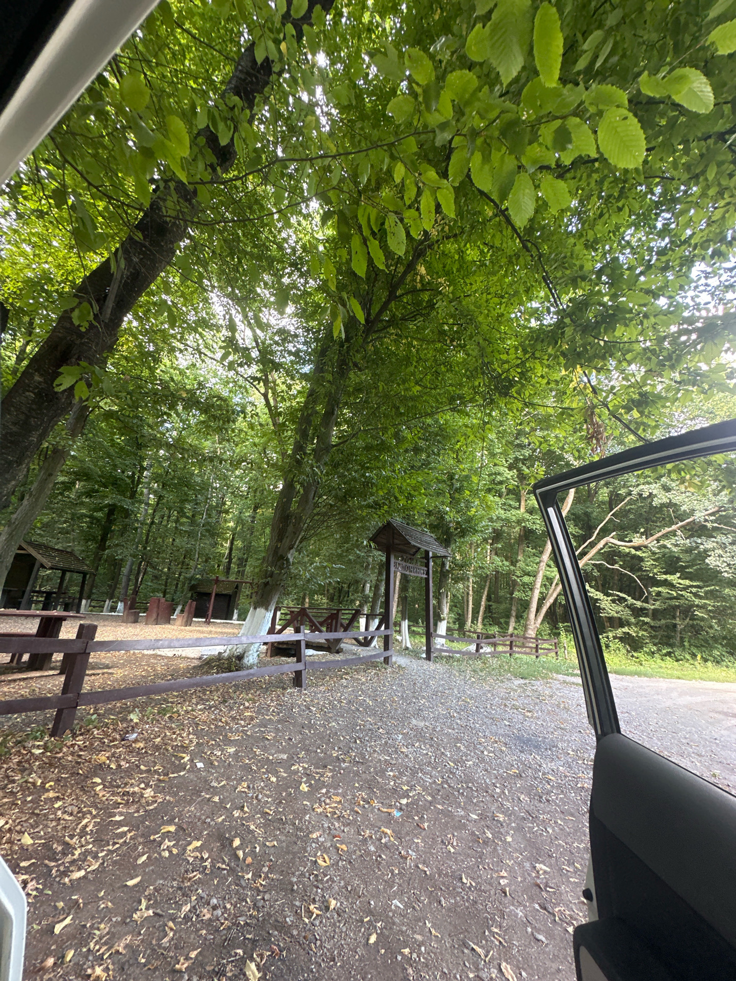 The image depicts an outdoor scene within a forest, likely a recreational area or campground. The viewpoint is from inside a vehicle with the car door open, looking outwards. In the foreground, the gravelly ground is covered with fallen leaves. A wooden fence with dark brown posts and railings runs horizontally across the middle ground. Beyond the fence, there are several picnic tables with benches, some with wooden roofs, suggesting a designated resting or eating area. In the background, dense green trees dominate the landscape, indicating a wooded environment. A signpost with wooden roofing is visible on the left side of the frame. The overall impression is that of a tranquil, natural setting within a forest, possibly a park or a campsite.