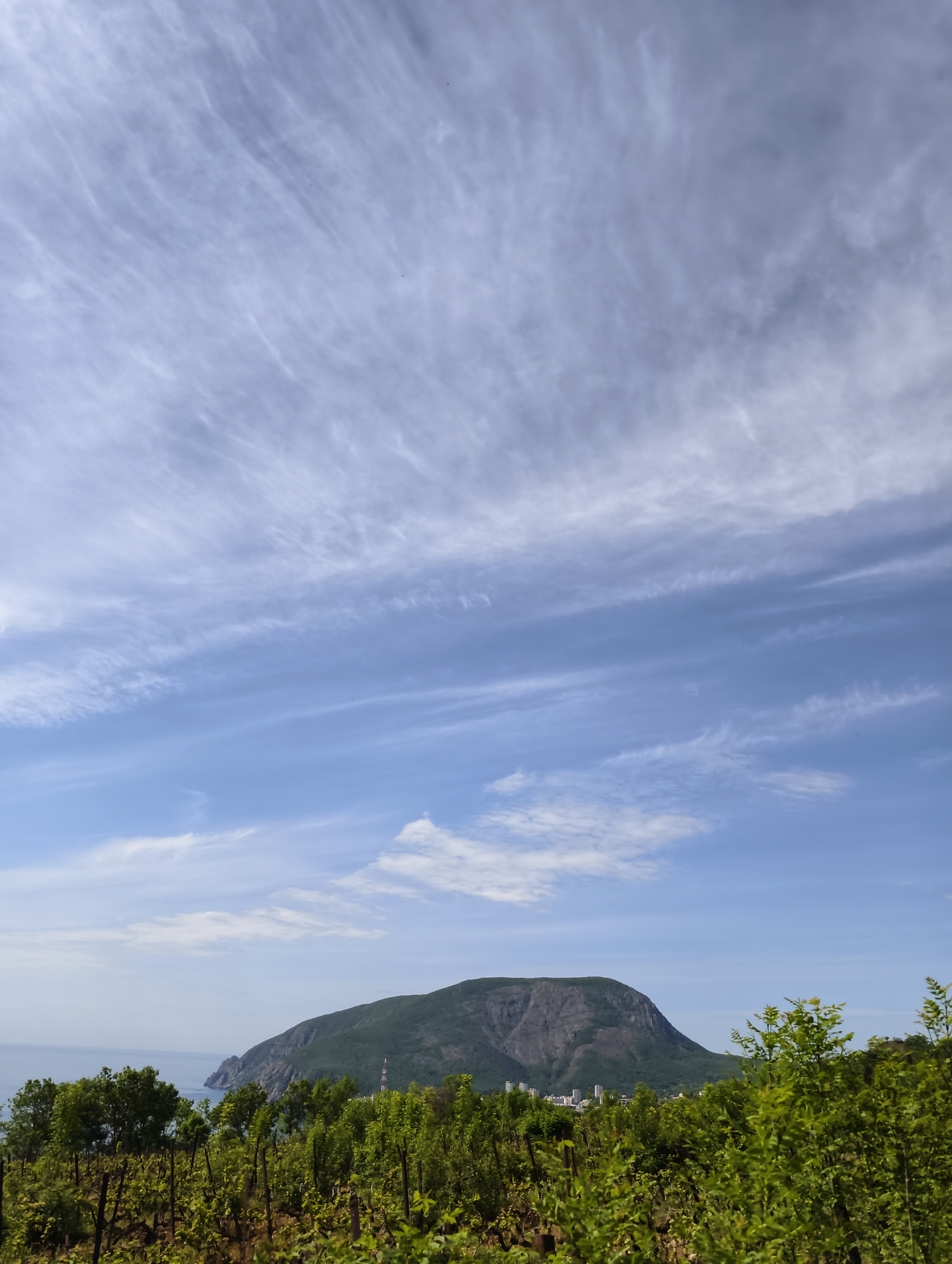 The image captures a landscape scene in Kiparisnoe, Ukraine. In the foreground, a dense patch of green vegetation dominates, with what appears to be a vineyard extending from the lower left. Beyond this, the focal point of the image is a large, verdant mountain. At the base of the mountain, a few white buildings are visible, suggesting a small settlement. To the left of the mountain, a glimpse of the sea can be seen. The sky takes up the majority of the frame, filled with streaky, cirrus clouds set against a backdrop of light blue.