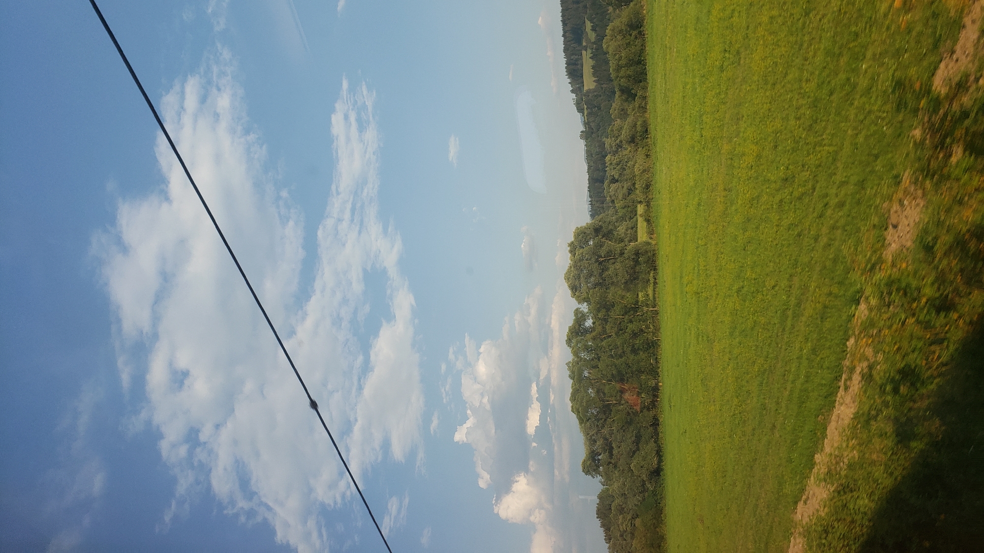 The image depicts a vast, green meadow in the city of Turík, Slovakia, under a bright blue sky dotted with white clouds. A thin black wire stretches diagonally across the upper portion of the frame. In the distance, a dense line of trees forms a natural border along the horizon, with rolling hills covered in darker foliage extending beyond them. The foreground shows a blurred section of the meadow, suggesting movement, possibly from a vehicle.