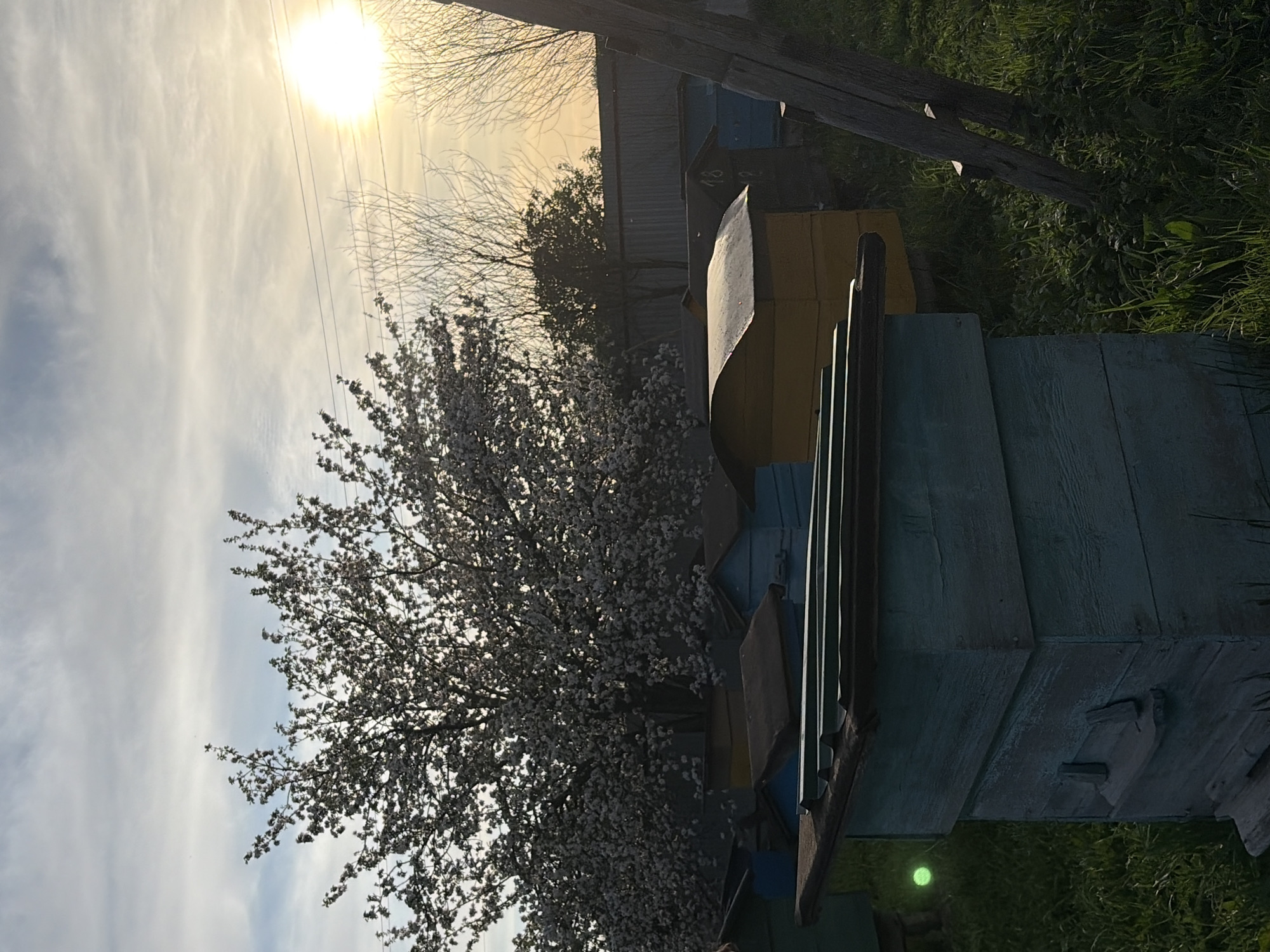 The image shows a partially obstructed view of the sky with a bright sun and thin clouds. A blossoming tree with white flowers is visible in the lower left. A row of colorful beehives dominates the right side of the frame. The foreground contains green grass and a weathered wooden structure. The image was taken in the village of Kadryakovo, Russia.