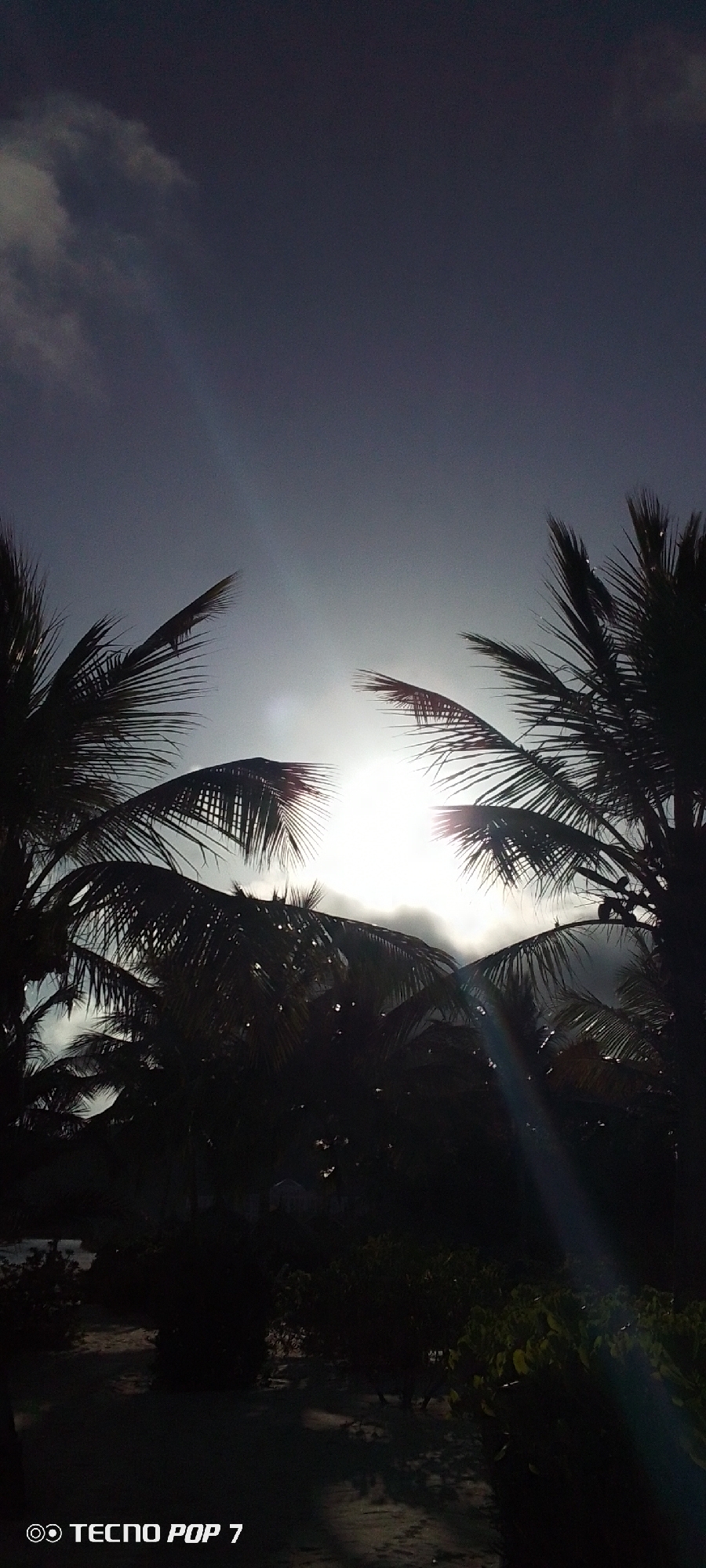 The image depicts a beach scene in Pedro González, Venezuela. The sun is high in the sky, obscured by clouds and palm trees. The foreground is dark, showing the sand and some vegetation. Palm trees frame the bright sky in the middle ground. The sky is predominantly gray.