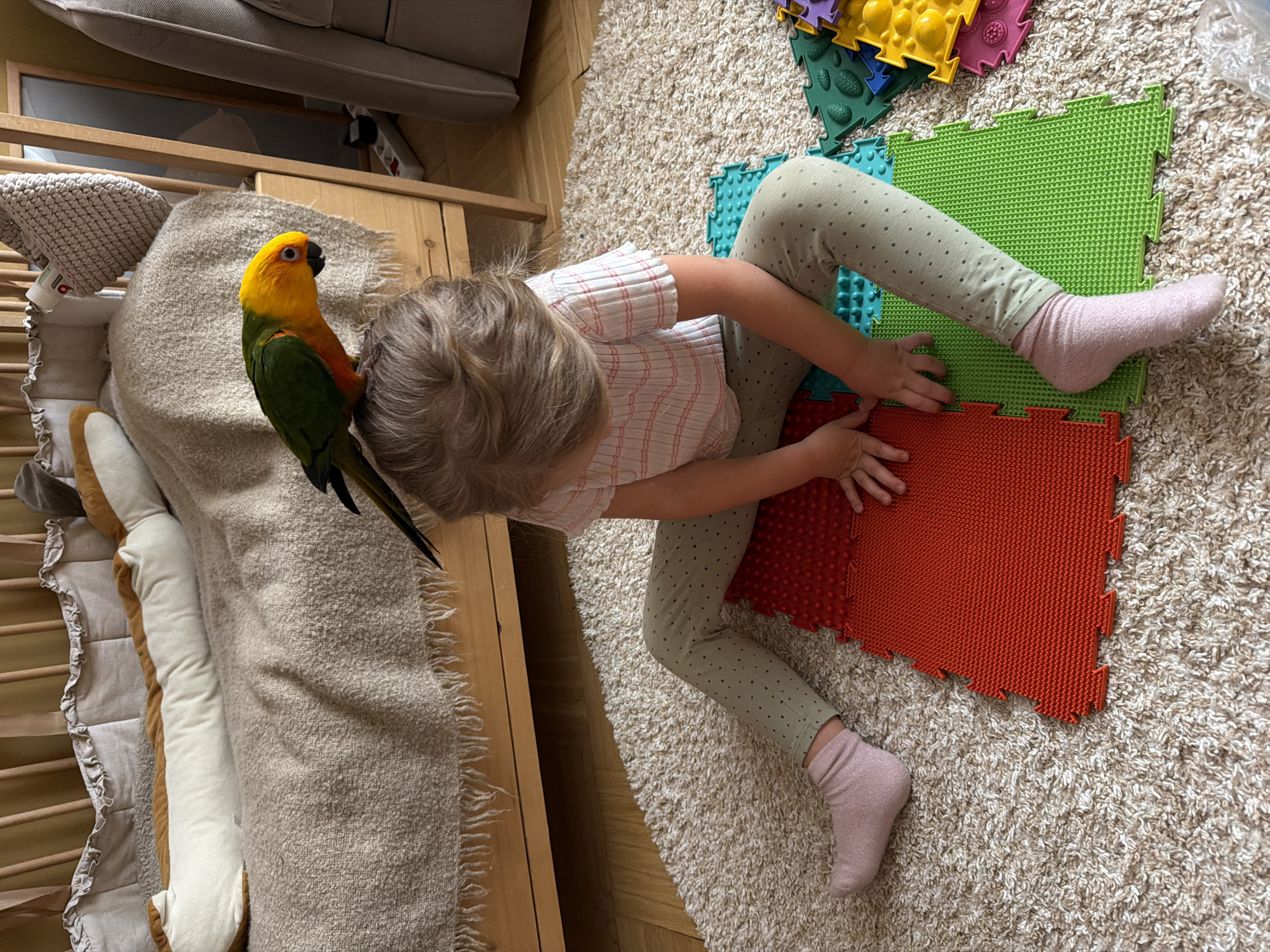 A small child sits on a carpet covered with interlocking foam mats, while a colorful parrot perches on a nearby object. The child has short, light-colored hair and is wearing a white and pink plaid shirt and patterned green leggings, with one foot visible in a pink sock. The mats are various colors, including green and red, and have textured surfaces. The parrot, identified as a Sun Conure due to its vibrant yellow head, green body, and black beak, is positioned to the left of the child, appearing to interact with something near a wooden structure covered with bedding. The scene takes place indoors in an unknown location with no visible landmarks to connect to the city of Khimki, Russia.