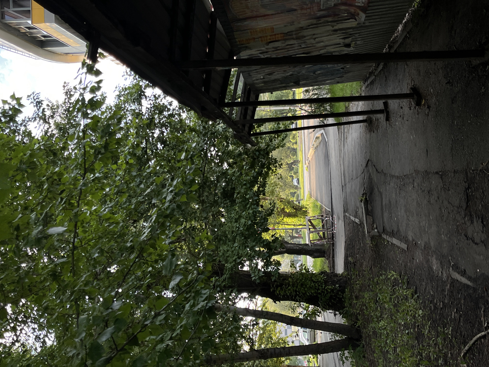 The image depicts a sidewalk and a street scene in Chelyabinsk, Russia. On the right side of the frame, there is a weathered, corrugated metal structure with a dark roof supported by metal poles. The structure appears to be a shelter or a makeshift enclosure, with graffiti visible on its side. Adjacent to this structure is a paved sidewalk that extends into the distance, curving to the left.
To the left of the sidewalk, a patch of overgrown grass and dirt is visible, with several trees. The trees have dense green foliage, with sunlight filtering through the leaves. One of the trees has ivy growing up its trunk. Further down the sidewalk, a small wooden structure, possibly a barrier or construction element, is present. Beyond the trees and sidewalk, a street is visible with passing cars. In the background, a modern building with a curved facade and yellow accents can be seen. The sky above is partly cloudy. The overall scene suggests an urban environment with elements of nature integrated into the cityscape.