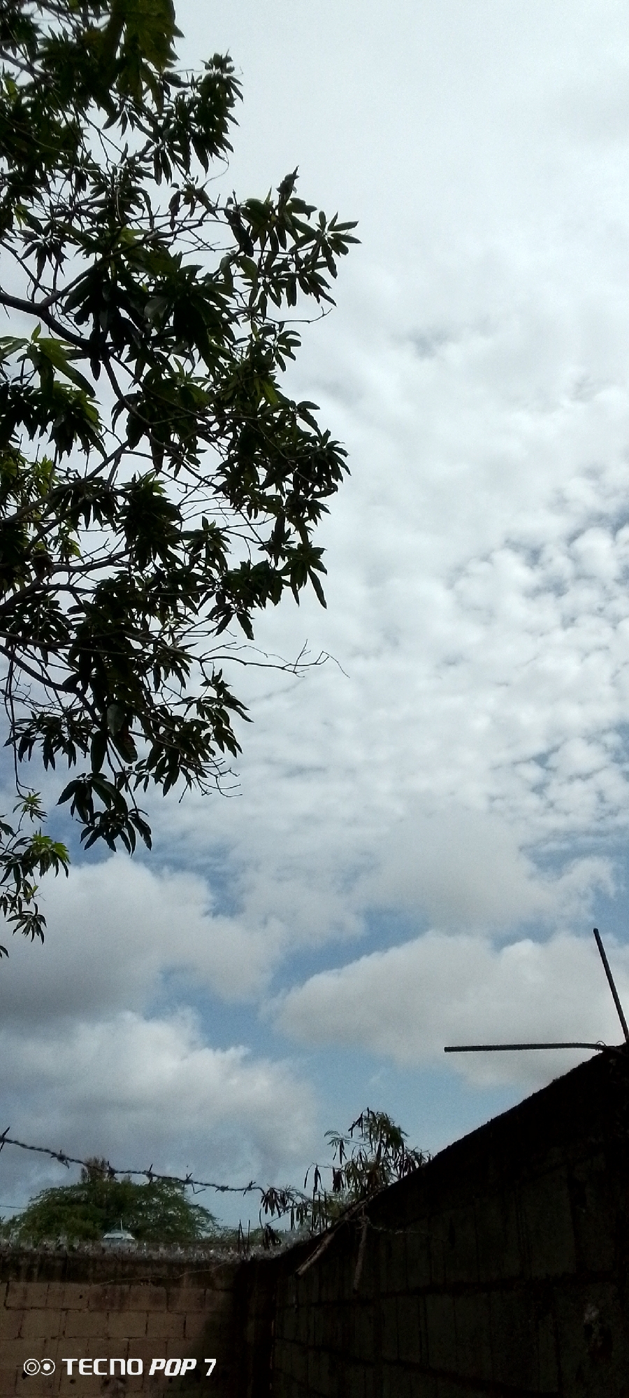 The image shows a sky with scattered clouds. In the foreground, a tree with dark green leaves is visible on the left side. The lower part of the image shows a brick wall with barbed wire on top. The wall appears to be part of a building or fence. A dark, angled object, possibly a piece of metal or wood, extends from the upper right corner of the image. The bottom left corner of the image contains a watermark that reads "TECNO POP 7". The scene appears to be outdoors, possibly in a residential or industrial area, given the presence of the wall and barbed wire. The sky suggests it is daytime. Without further context, it is not possible to definitively pinpoint the location in Altagracia, Venezuela.