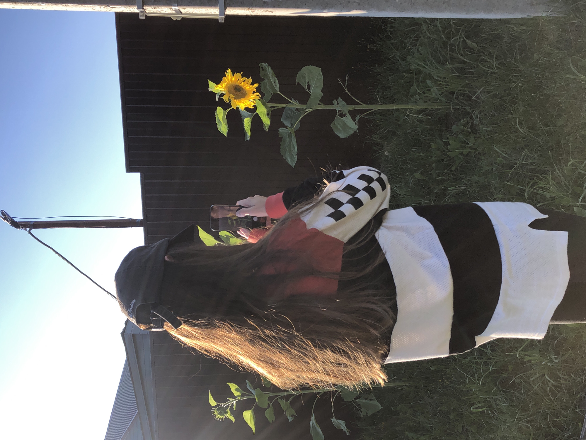 A young person, from the rear, wearing a black baseball cap and a long-sleeved shirt with black and white checkered sleeves and horizontal black and white stripes, is standing in a grassy area and taking a picture of a sunflower with their smartphone. The person has long, light brown hair that is illuminated by the setting sun. The sunflower is tall with a bright yellow bloom and green leaves, and it is positioned to the right of the person. In the background, there is a dark brown wooden fence, a utility pole, and a clear blue sky. To the left of the person, another sunflower plant with a closed bud is visible. The environment suggests a rural or suburban outdoor setting, possibly a garden or a field. The presence of a fence and a utility pole might indicate a residential area or a dacha (summer house) property in Красная Пресня Снт, Russia.