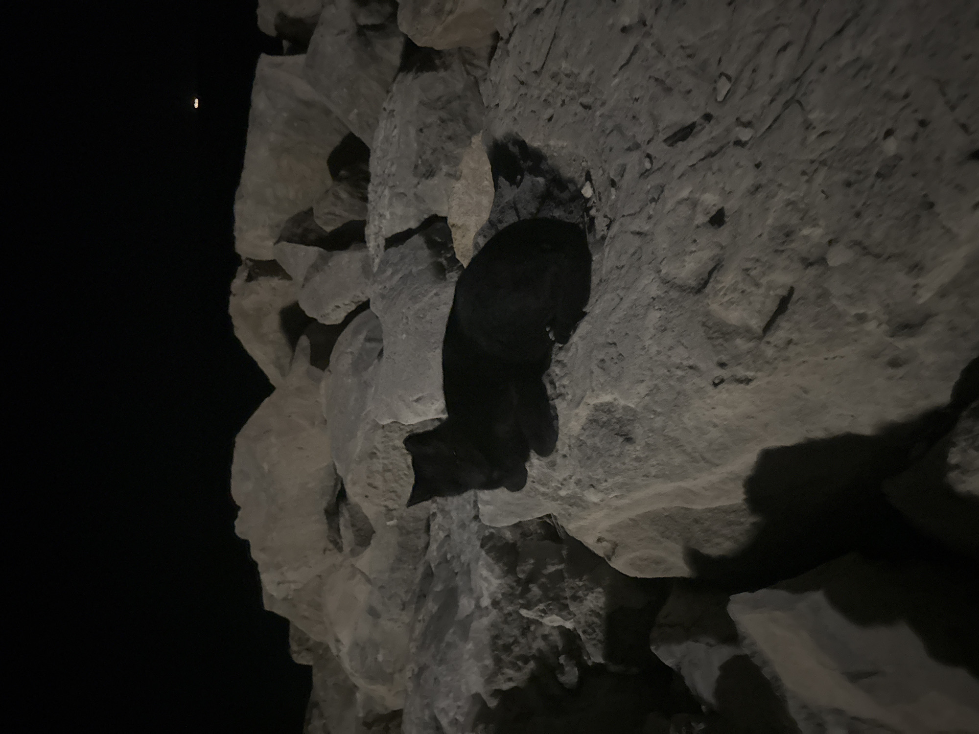 A black cat is resting on a large, light-colored rock formation at night. The rocks are piled together, creating a rough terrain. The background is dark, indicating nighttime. In the distance, two faint lights are visible in the sky. The scene appears to be outdoors, possibly along a coastline or breakwater, which is a common feature in coastal areas like Agios Tychona Community, Cyprus. The lighting suggests artificial illumination or possibly the moon, but the darkness dominates the scene.
