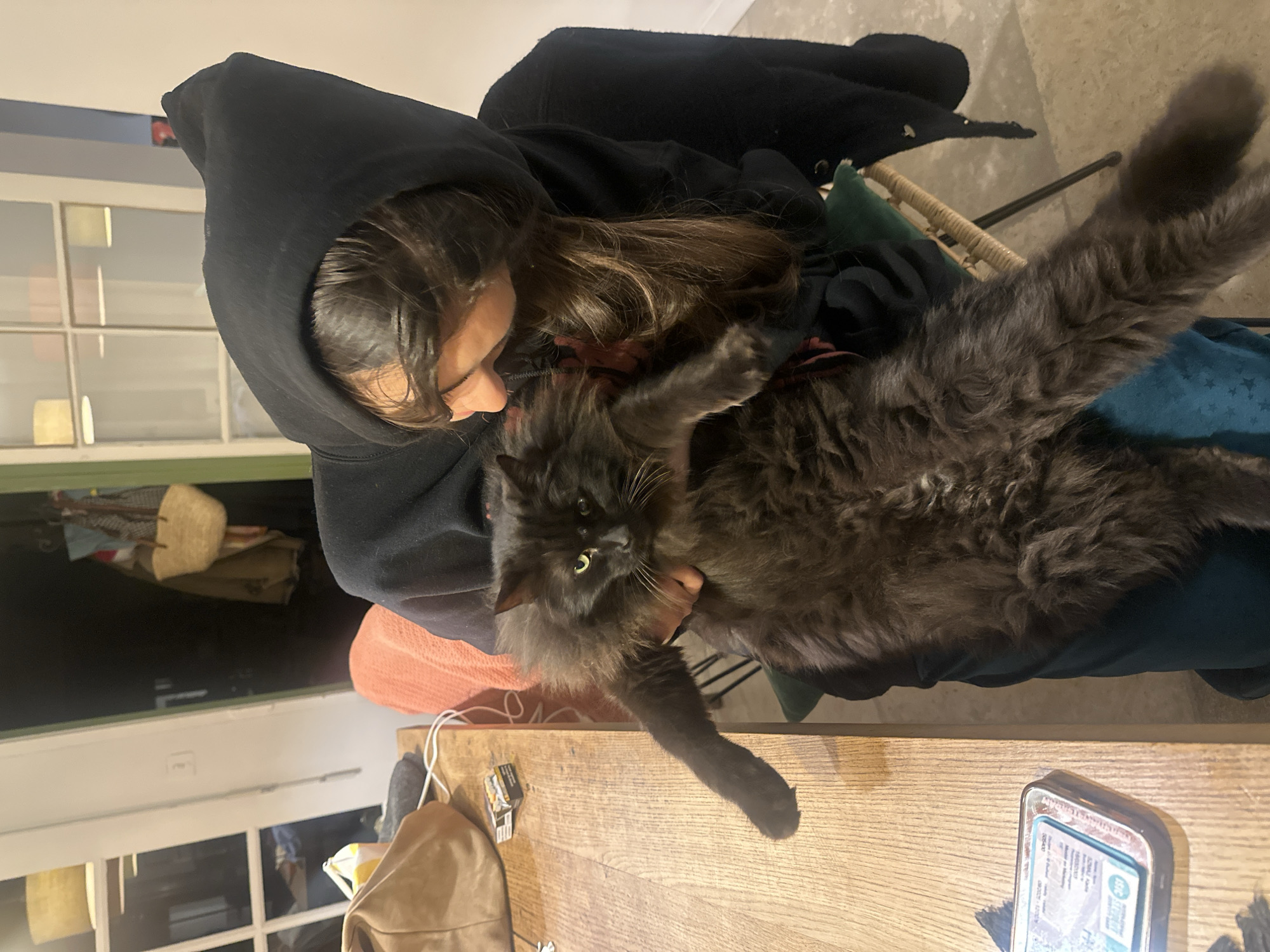 A woman wearing a black hooded sweatshirt is holding a large, long-haired, grey cat. The woman is looking down at the cat. The cat is looking at the camera. They are inside, near a wooden table with a silver tin and other small objects on it. A bag hangs off the edge of the table. A door or large window with multiple panes of glass is visible in the background. Based on the appearance of the silver tin labeled "CISE Timbre fiscal", the image was taken in France, and given the location in the request, the location is likely Lourmarin, France.