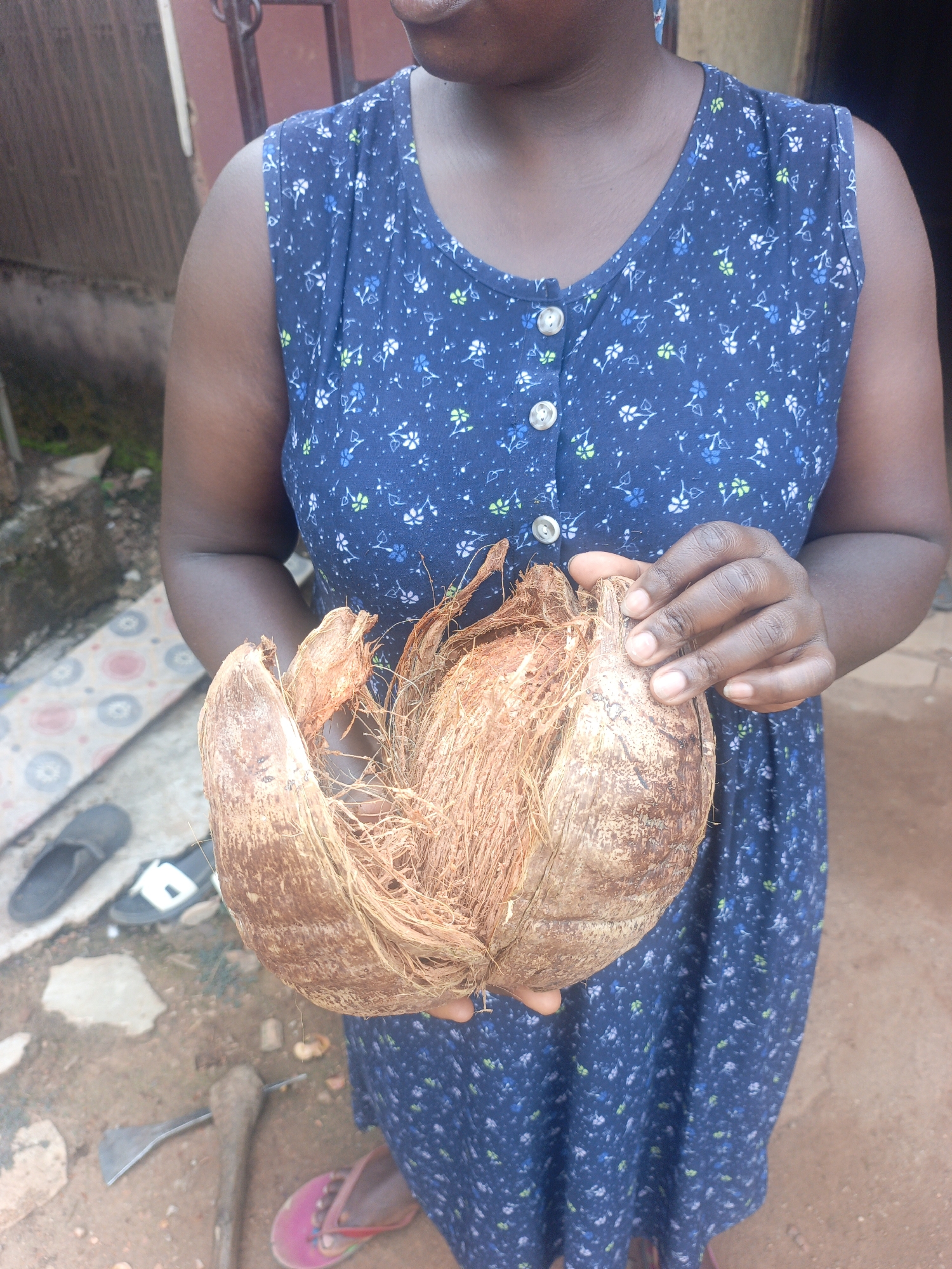 A woman in Akwanga, Nigeria holds a husk-covered coconut split in half. The woman wears a blue floral dress with button detailing. The location shows an exterior dirt ground with footwear and a tool nearby.